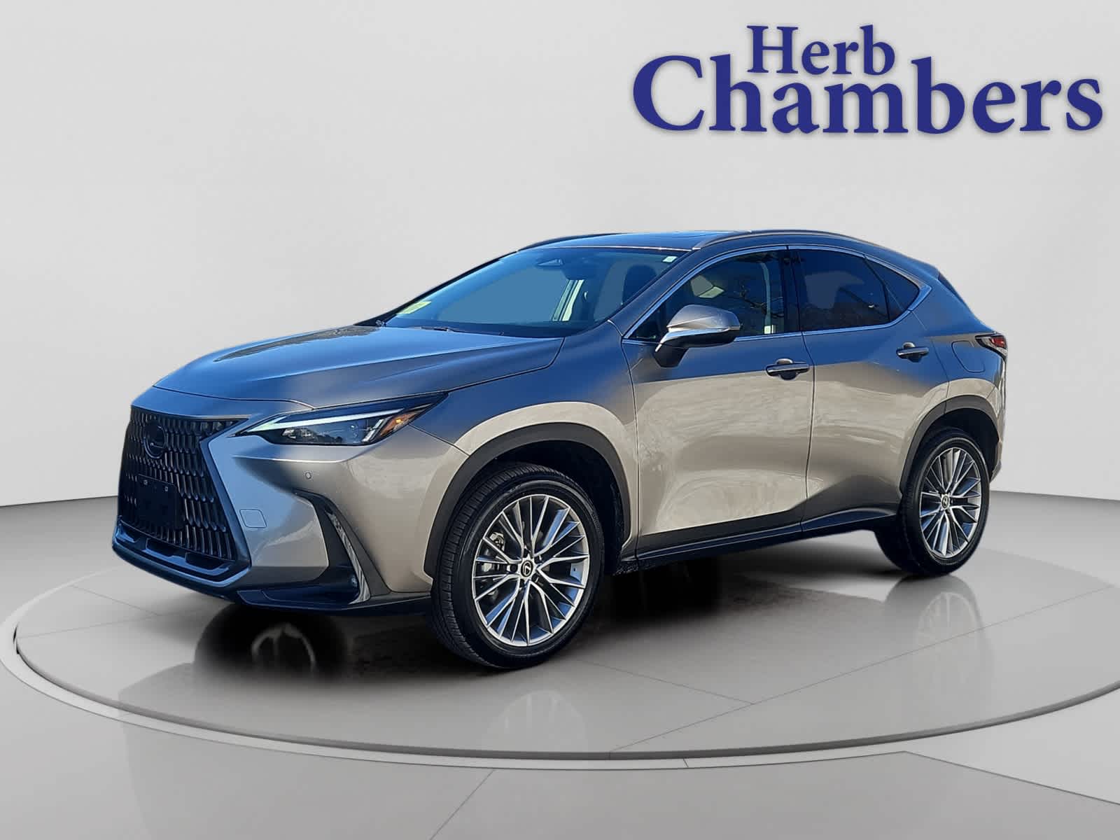 used 2025 Lexus NX car, priced at $44,998