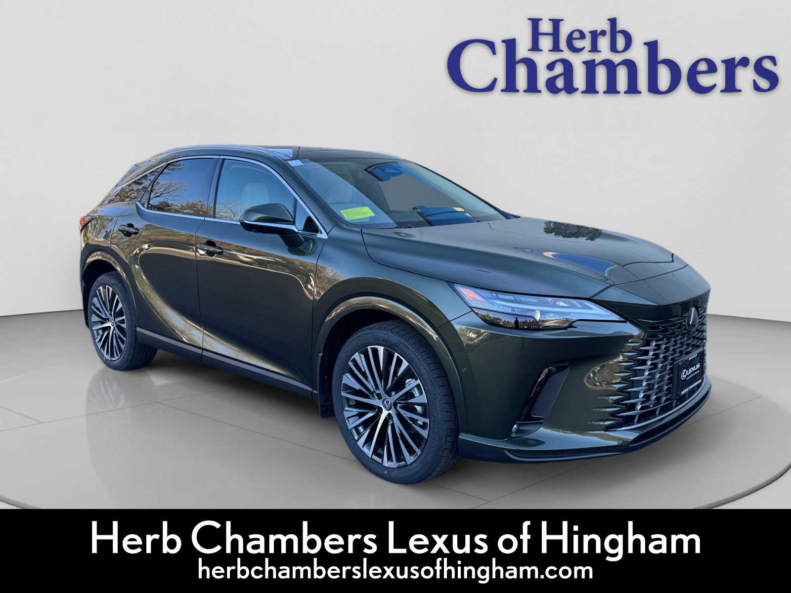 2026 Lexus RX Hybrid 350h's photo