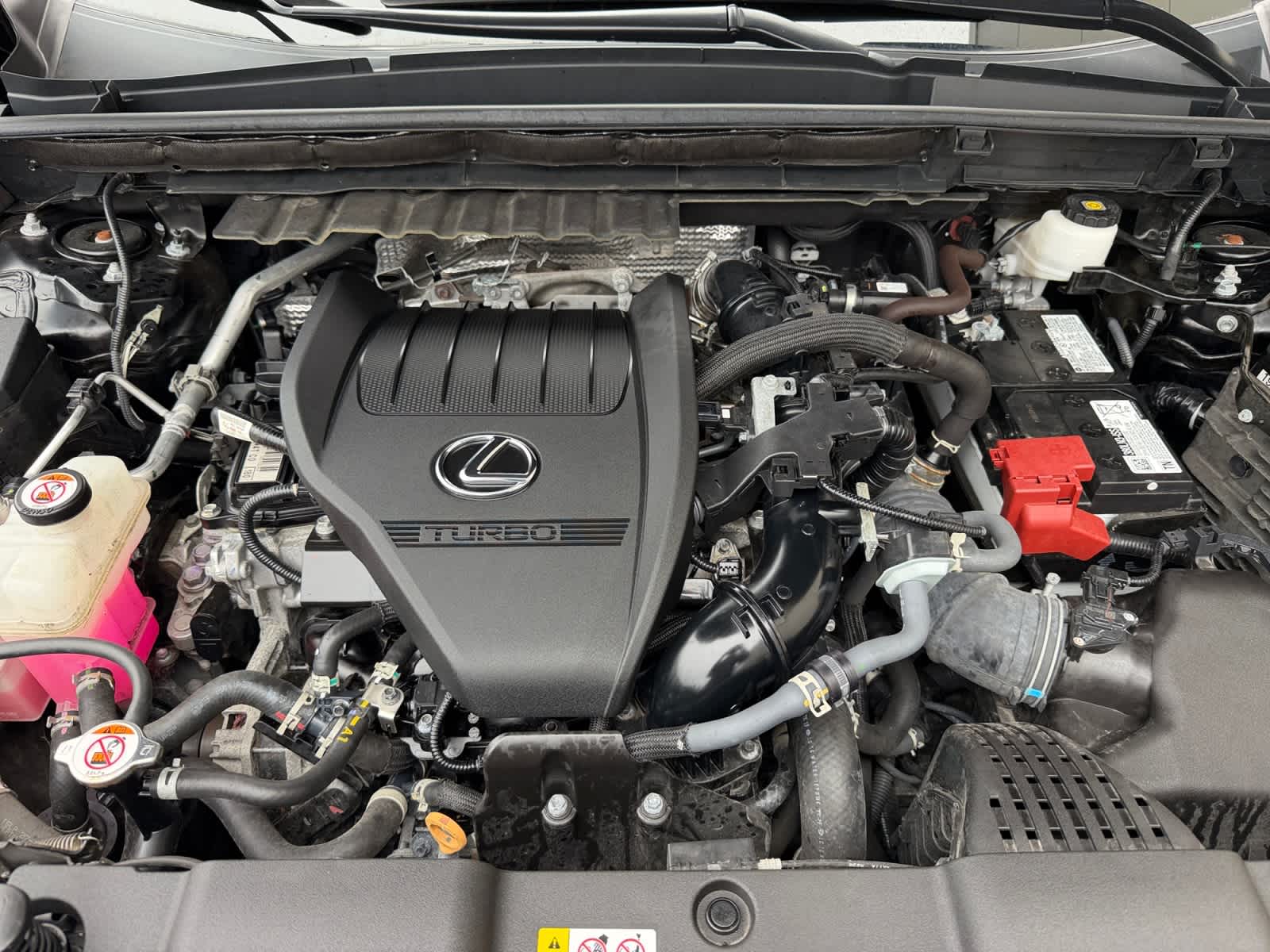 used 2024 Lexus NX 350 car, priced at $42,488