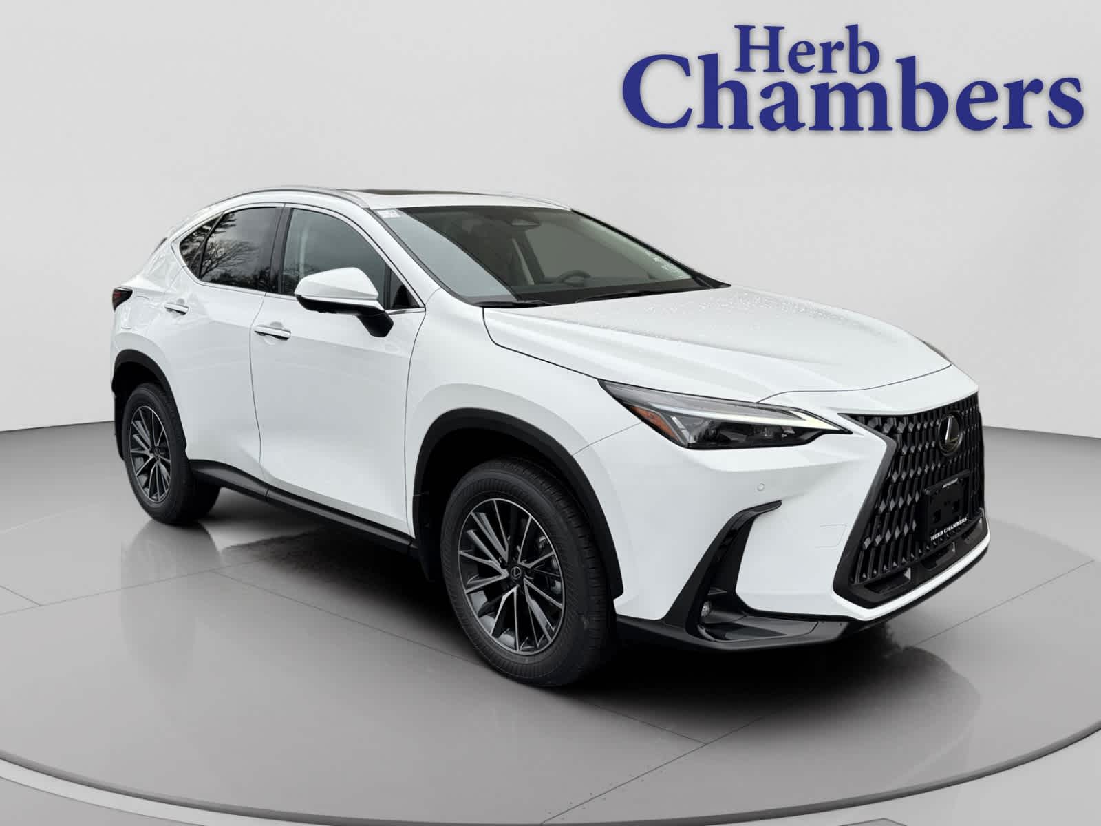 2026 Lexus NX PHEV 450h+'s photo
