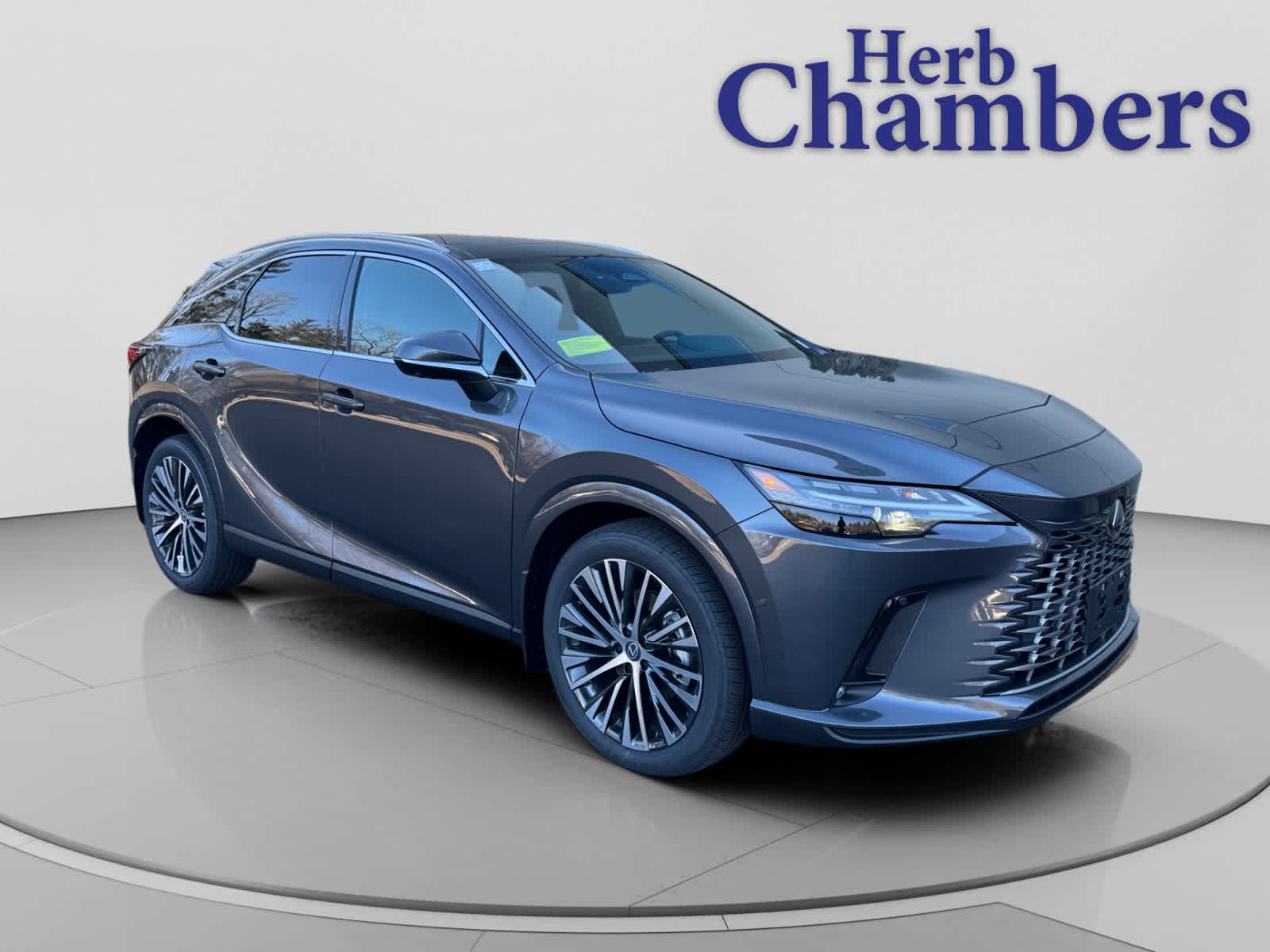 2026 Lexus RX Hybrid 350h's photo