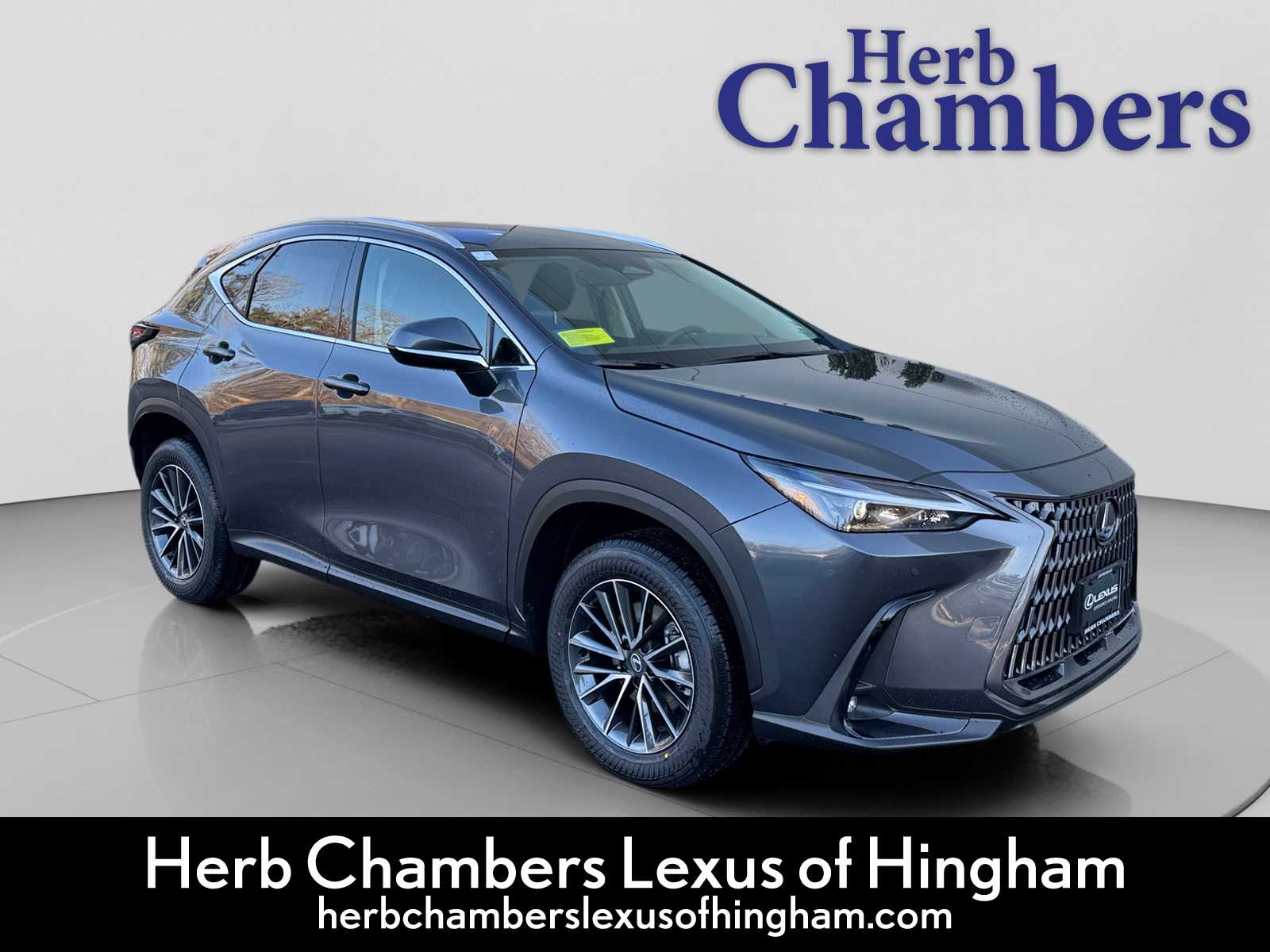 2026 Lexus NX 350's photo