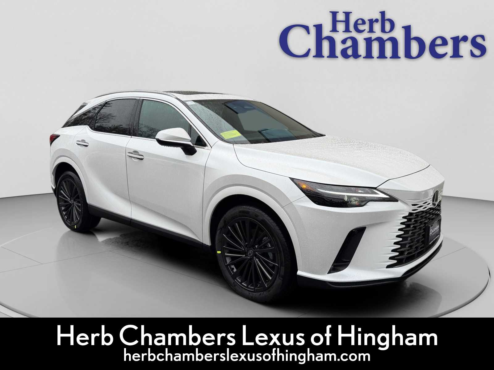 2026 Lexus RX Base's photo