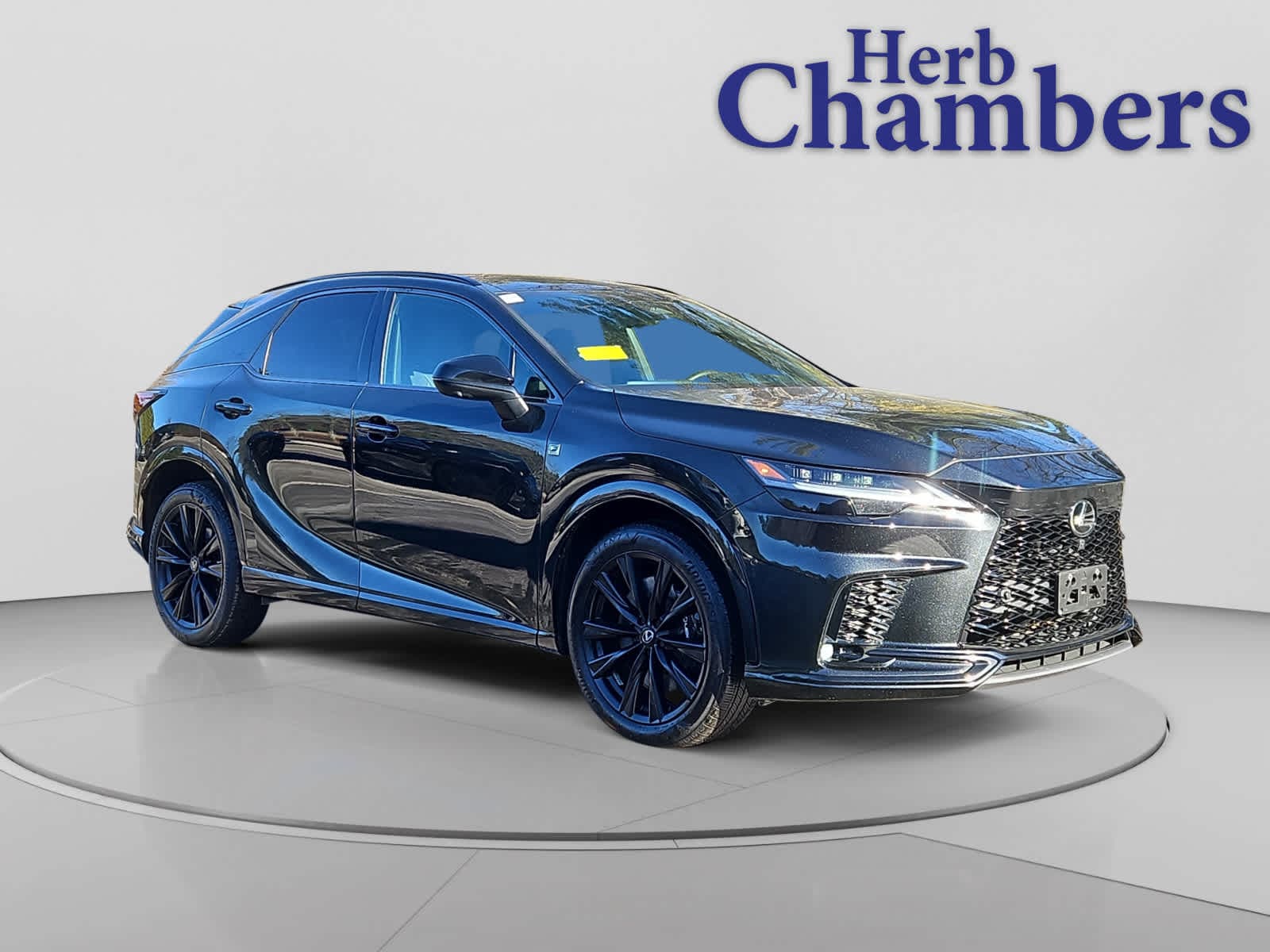 2023 Lexus RX Hybrid 500h's photo