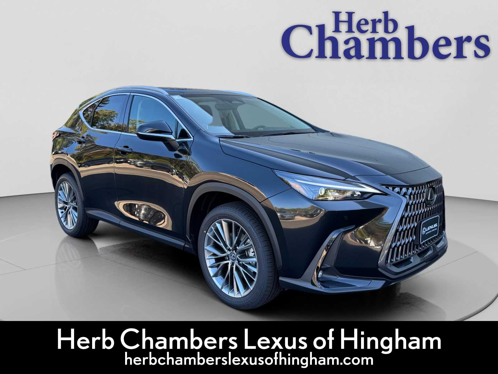 2026 Lexus NX 350's photo