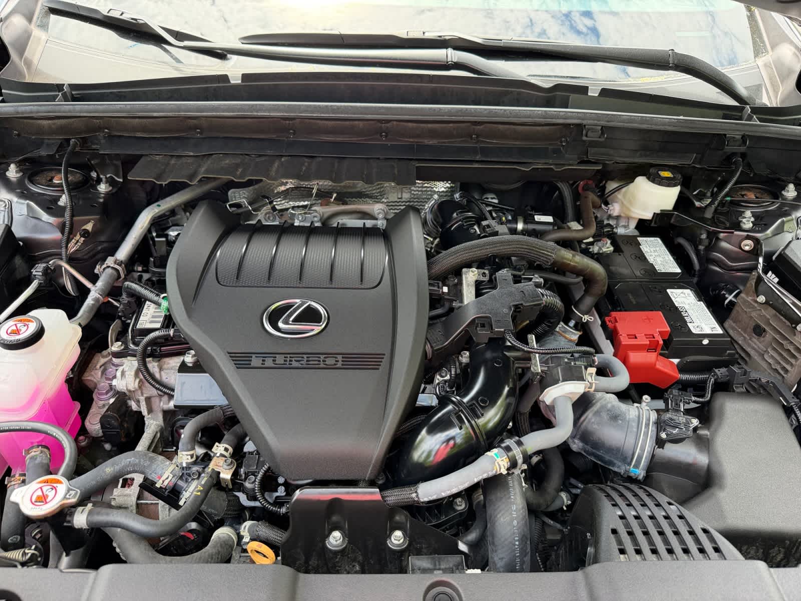 used 2024 Lexus NX 350 car, priced at $43,998