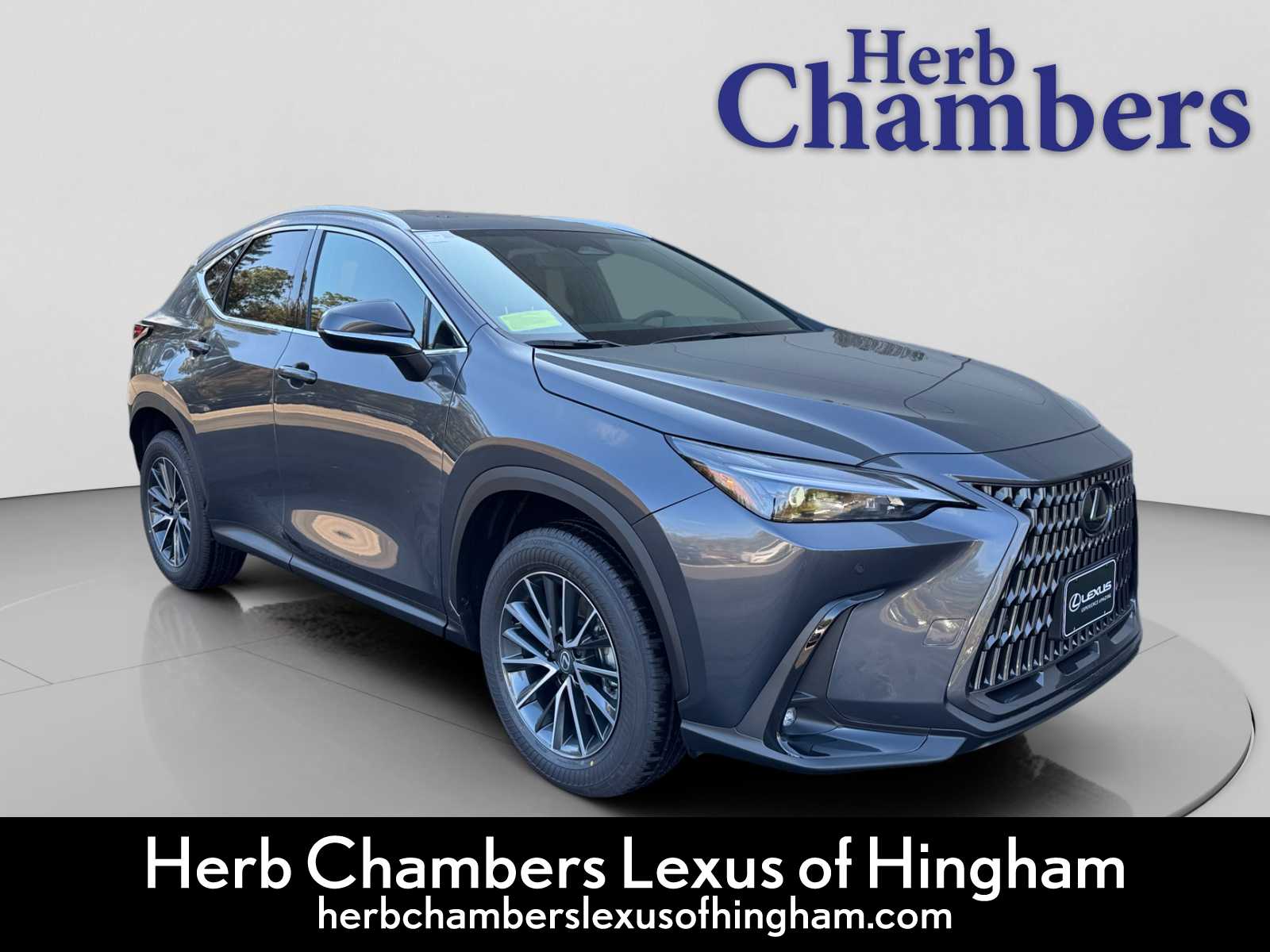 2026 Lexus NX 350's photo