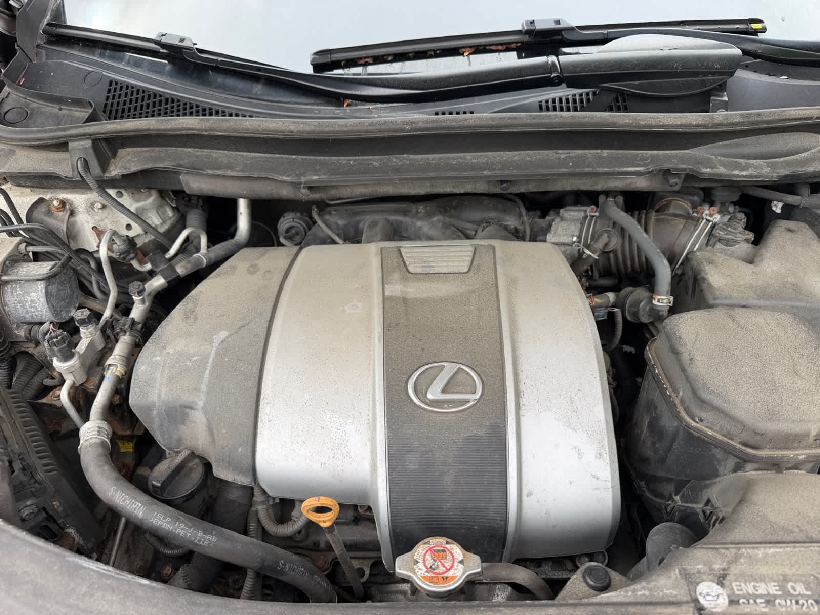 used 2020 Lexus RX 350 car, priced at $26,698