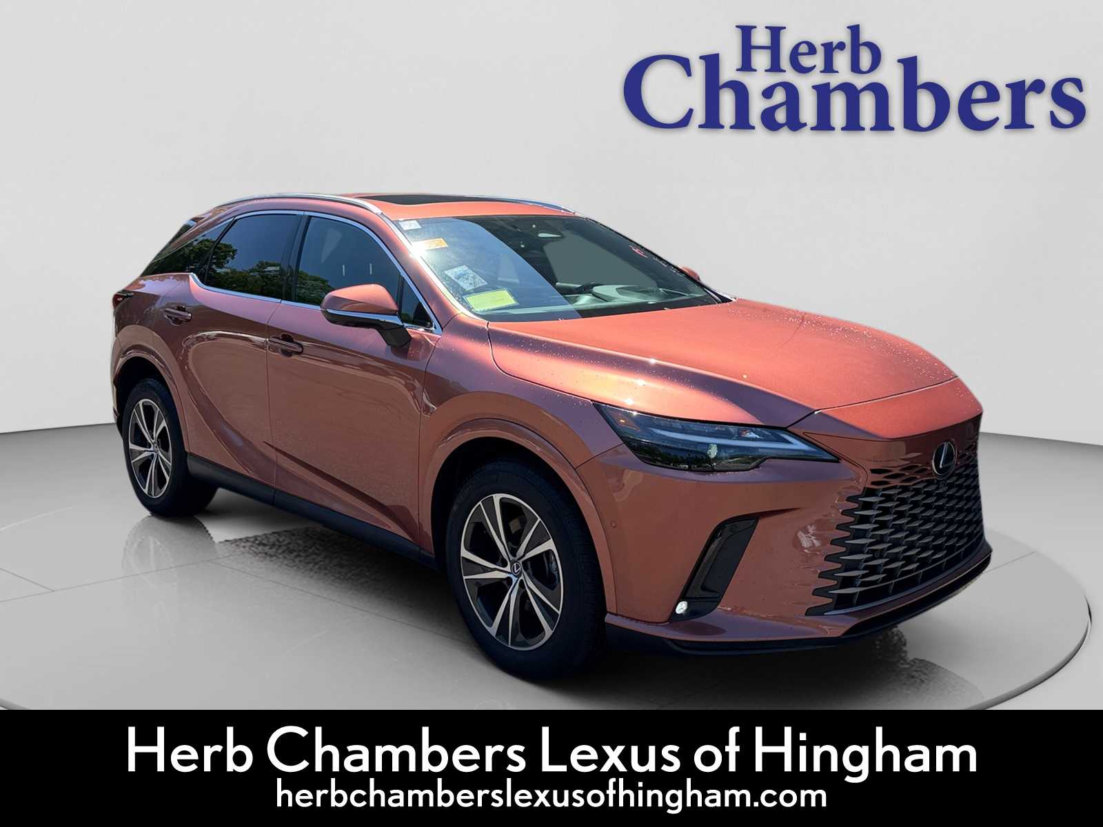 2023 Lexus RX 350 350 Premium Plus AWD's photo