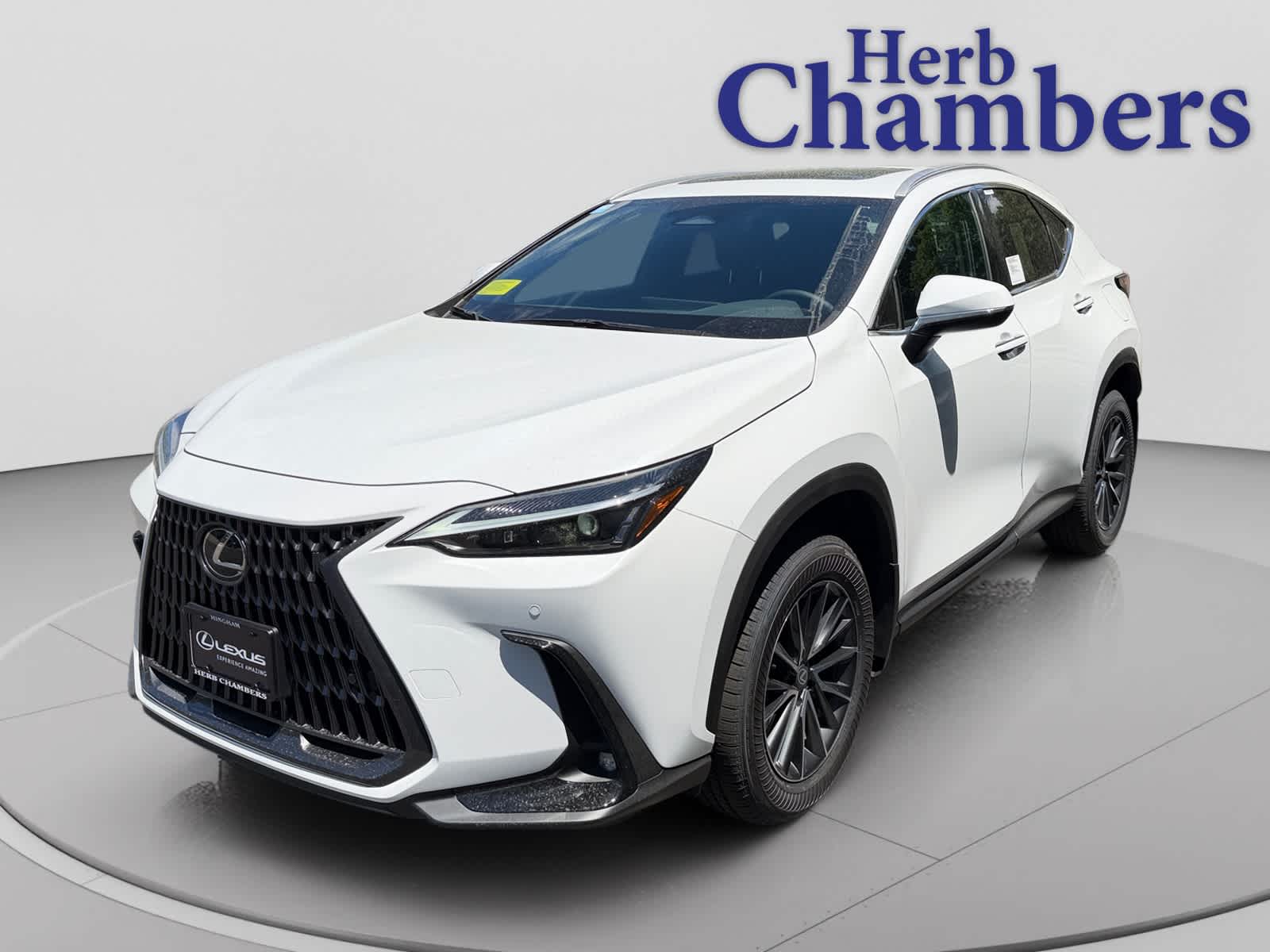new 2026 Lexus NX 350 car