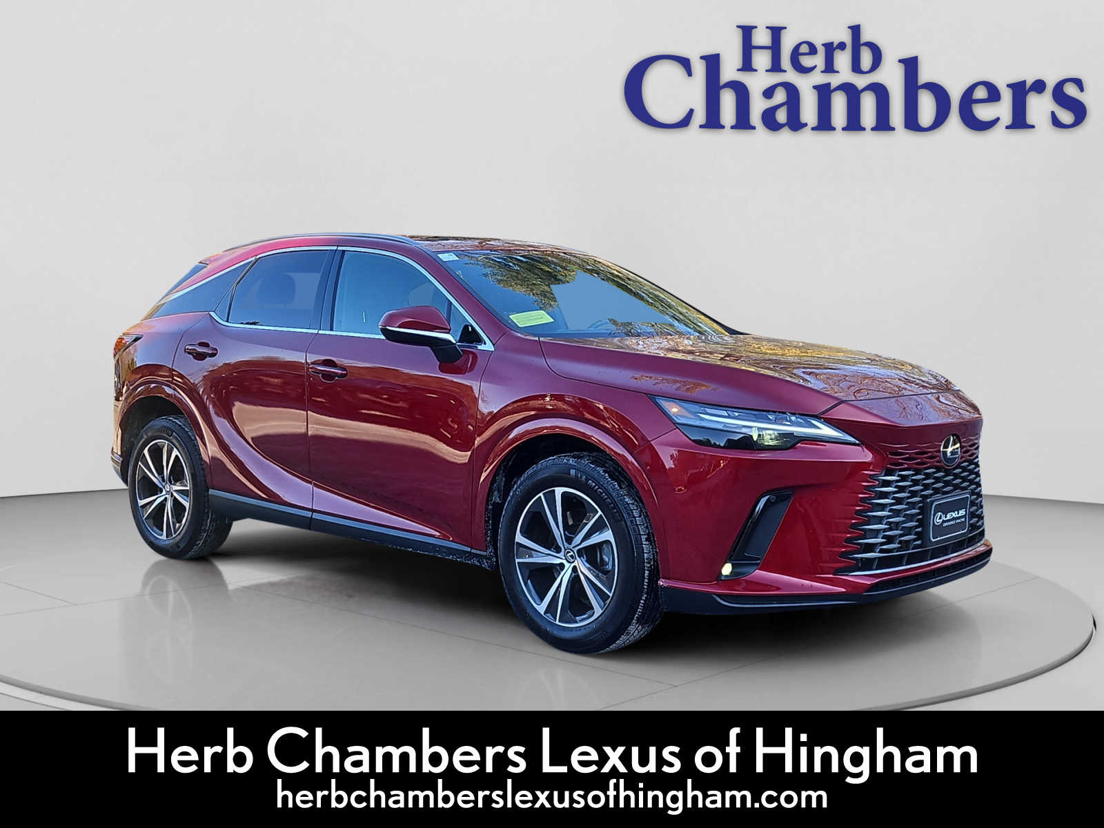 2023 Lexus RX 350's photo