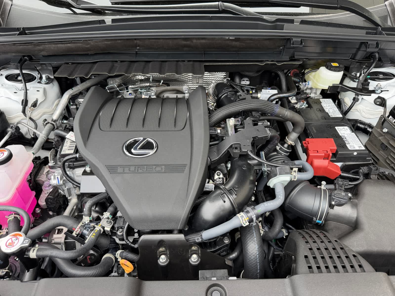 new 2026 Lexus NX 350 car