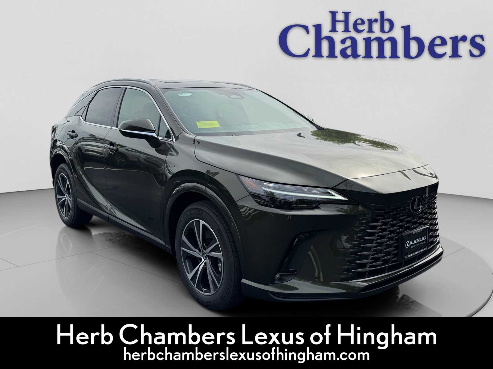 2025 Lexus RX 350's photo