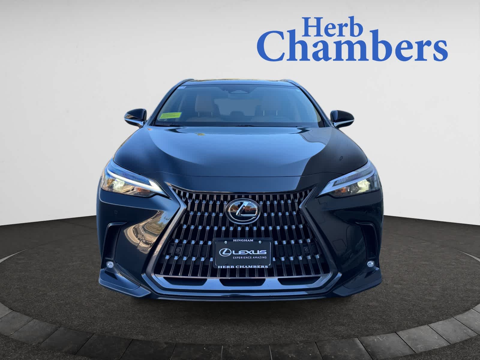 2026 Lexus NX 350h Premium photo 2