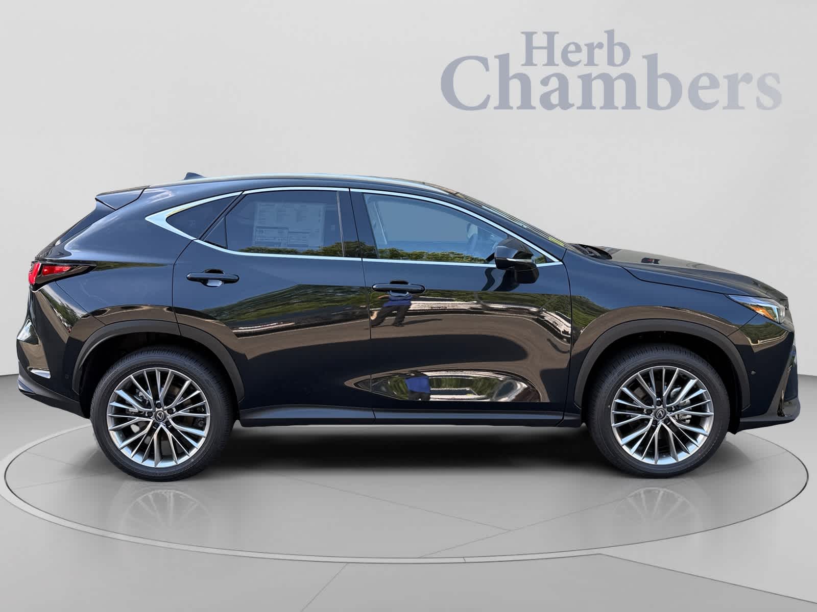 2026 Lexus NX 350h Luxury - Photo 10