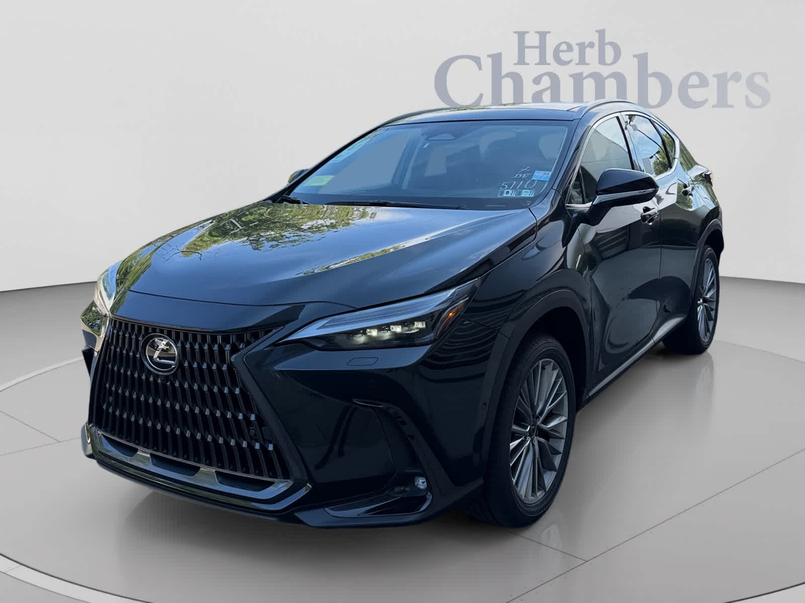 2026 Lexus NX 350h Luxury - Photo 9