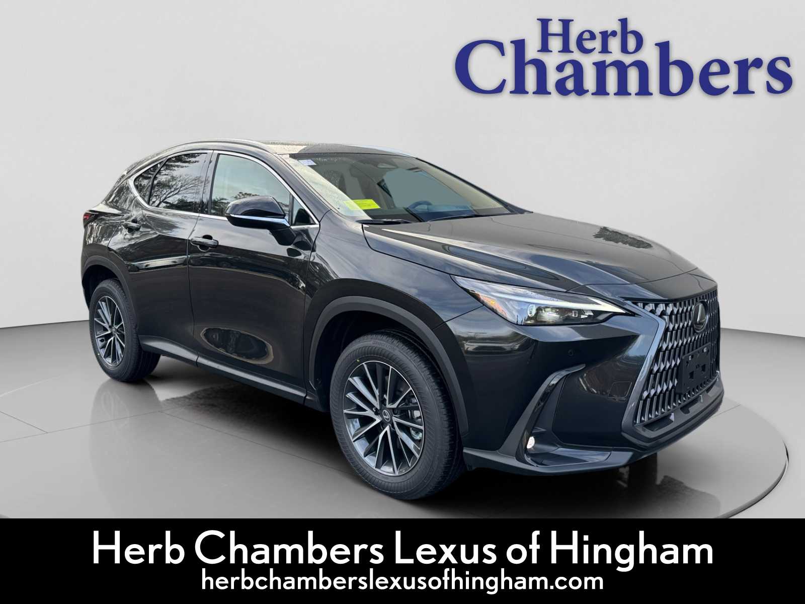 2026 Lexus NX 350's photo