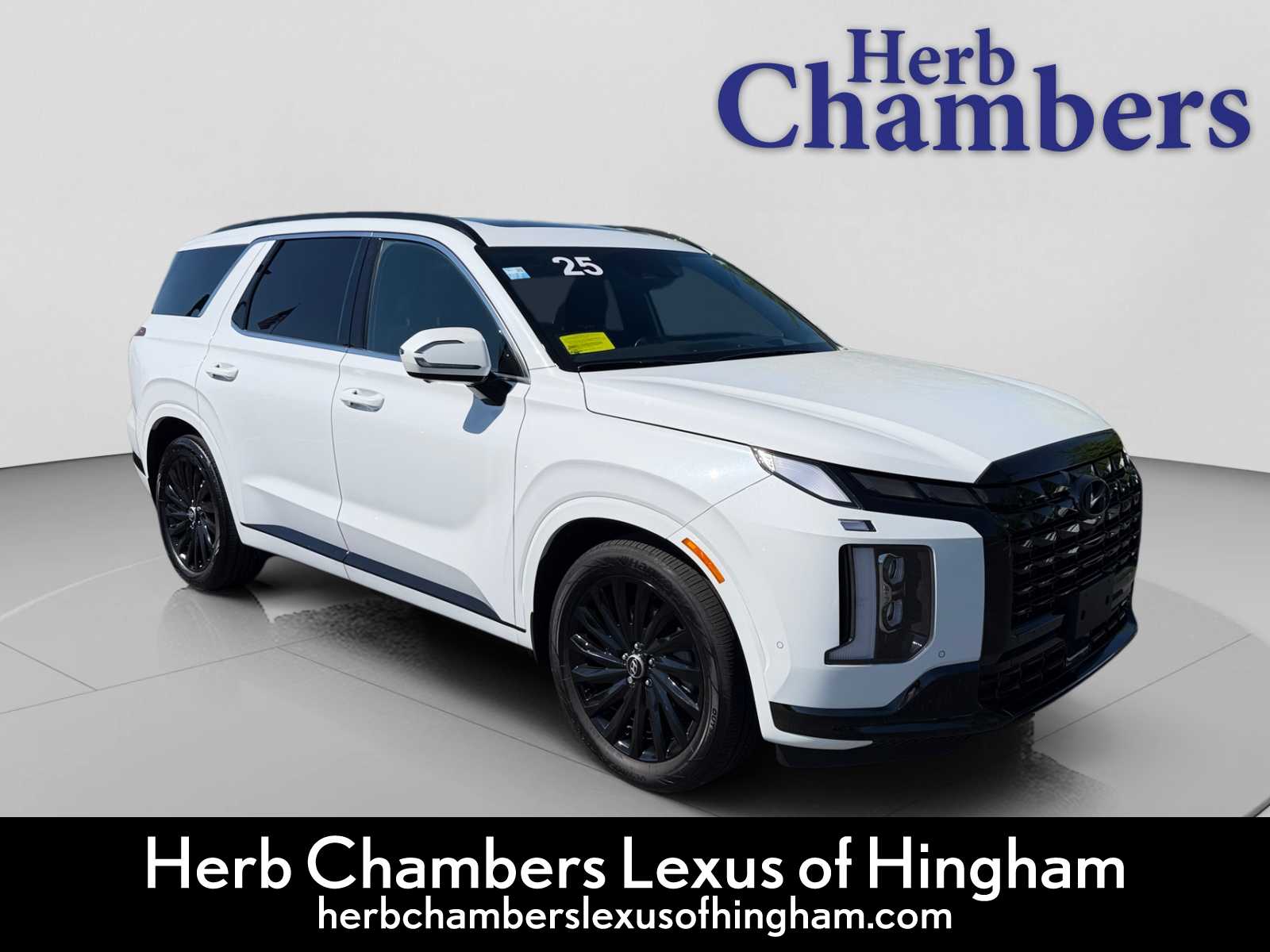 2025 Hyundai Palisade Calligraphy Night Edition AWD's photo