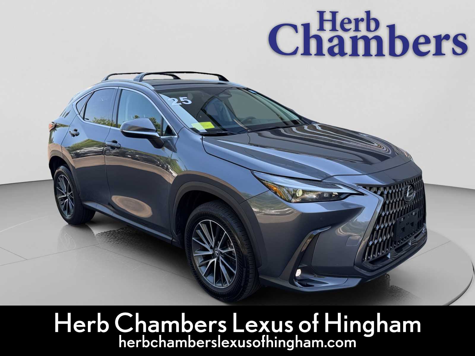 2025 Lexus NX 350 350 AWD's photo