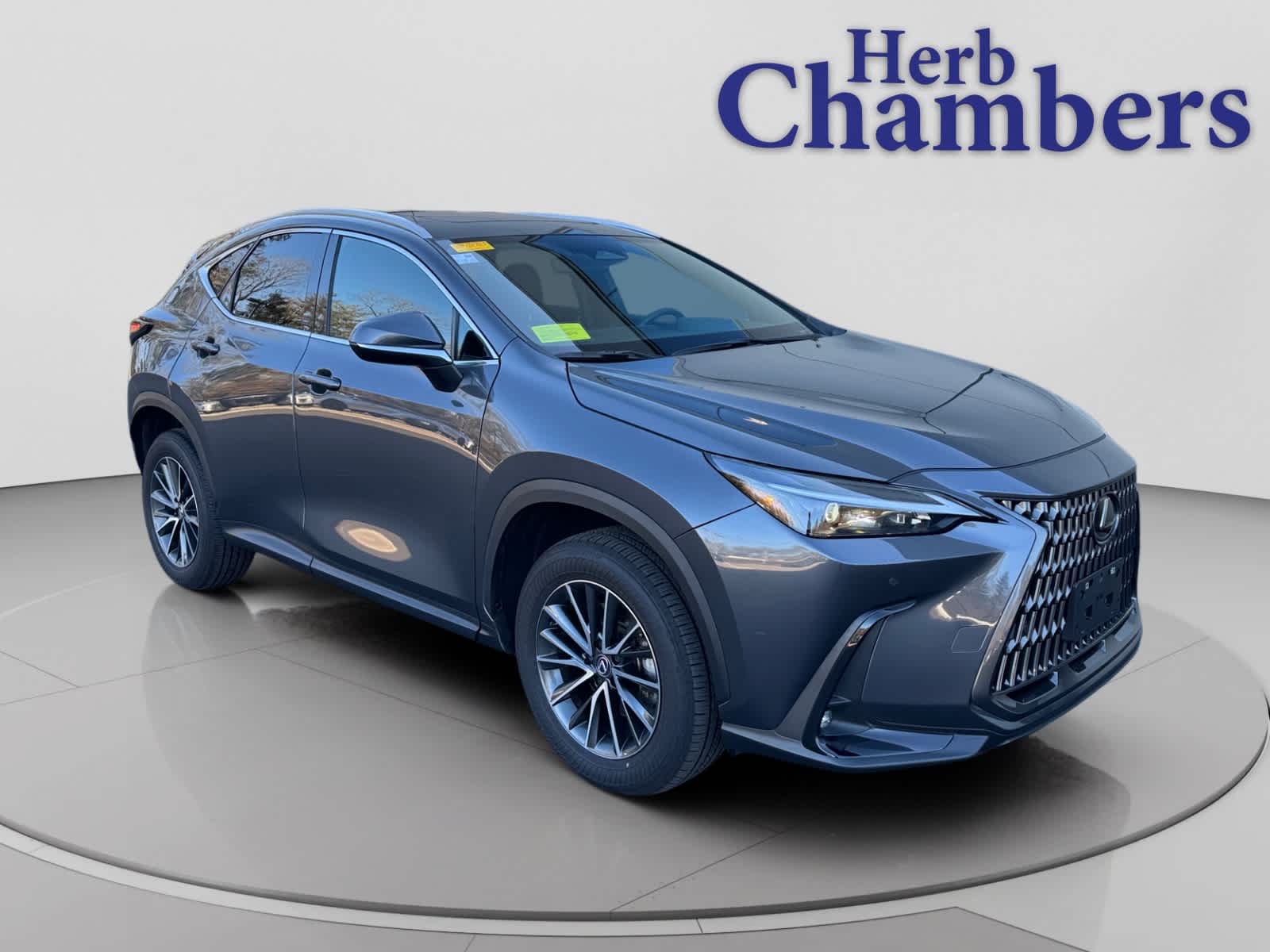 2025 Lexus NX 350's photo