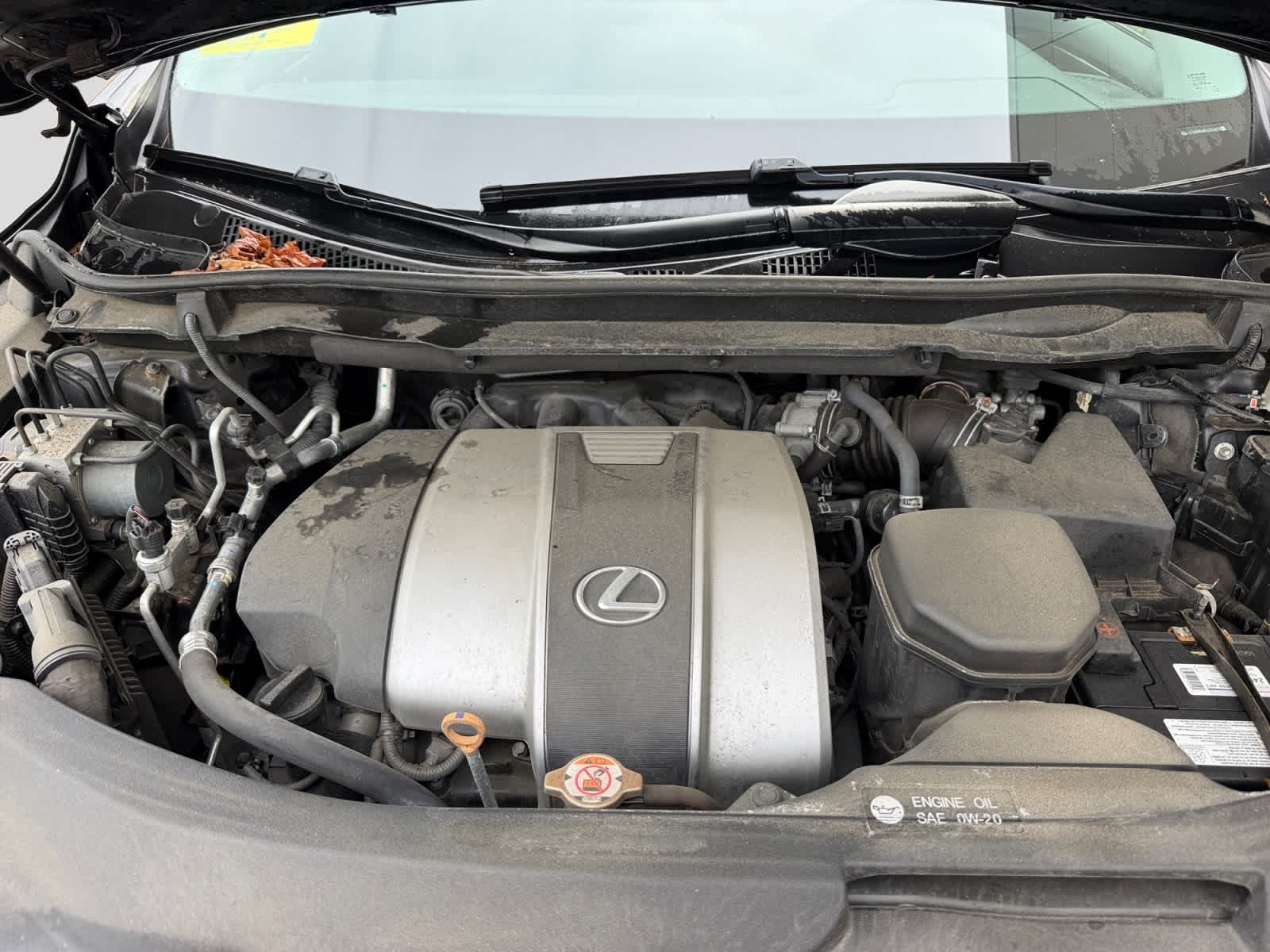used 2020 Lexus RX 350 car, priced at $40,998