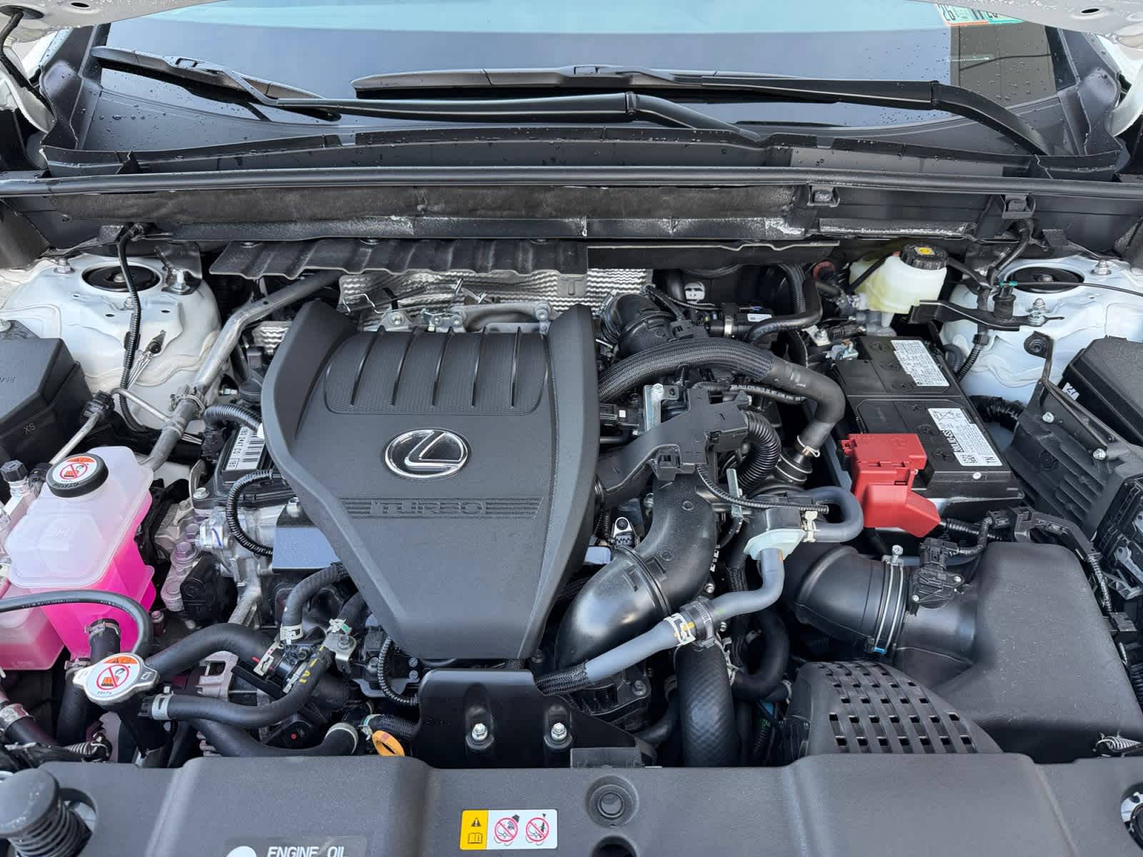 new 2026 Lexus NX car