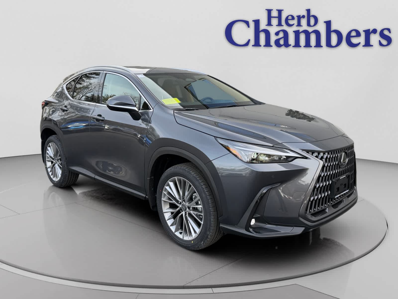 2026 Lexus NX 350's photo