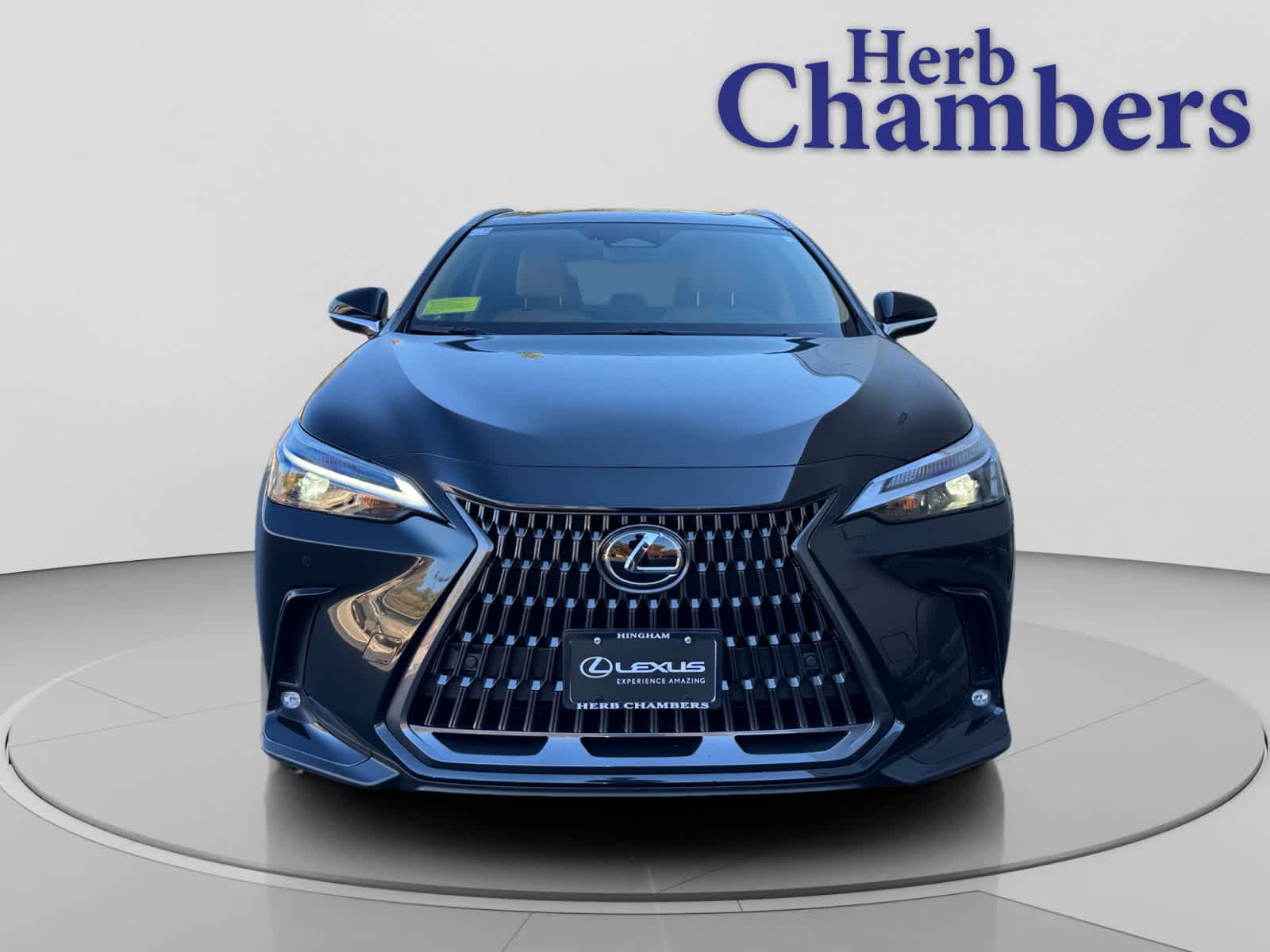 2026 Lexus NX 350h Premium photo 2