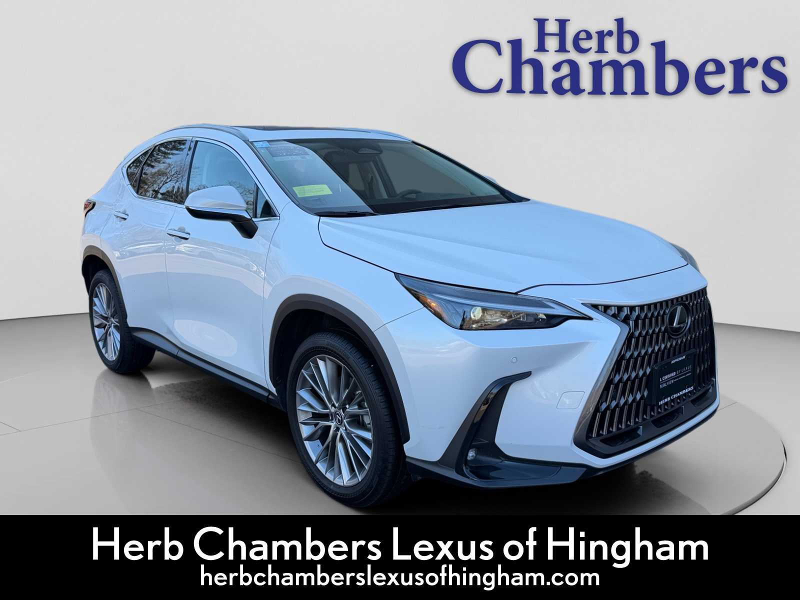 2025 Lexus NX 350