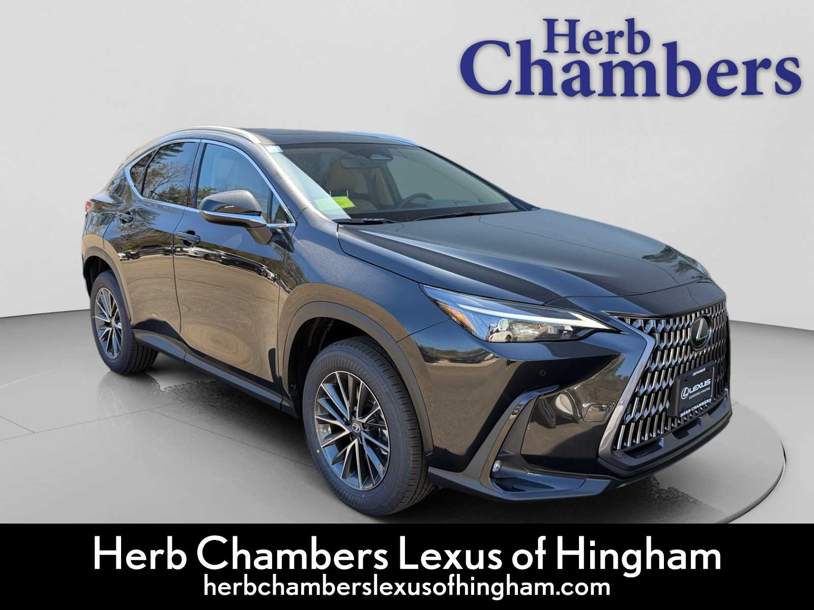 2026 Lexus NX