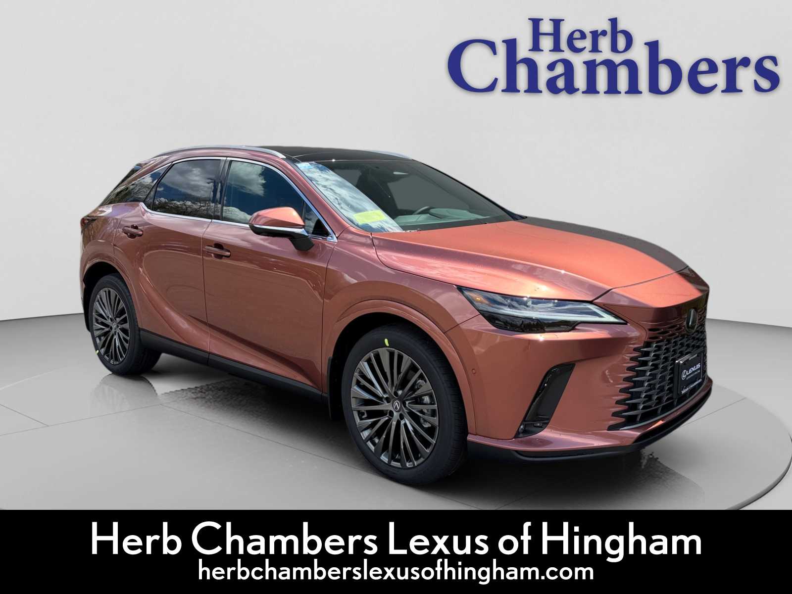 2026 Lexus RX 350 350 Luxury AWD's photo