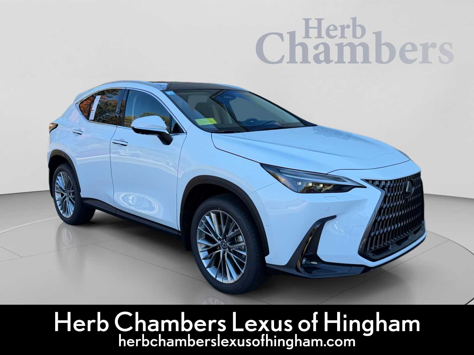 New 2026 Lexus NX 350 LUXURY AWD Sport Utility