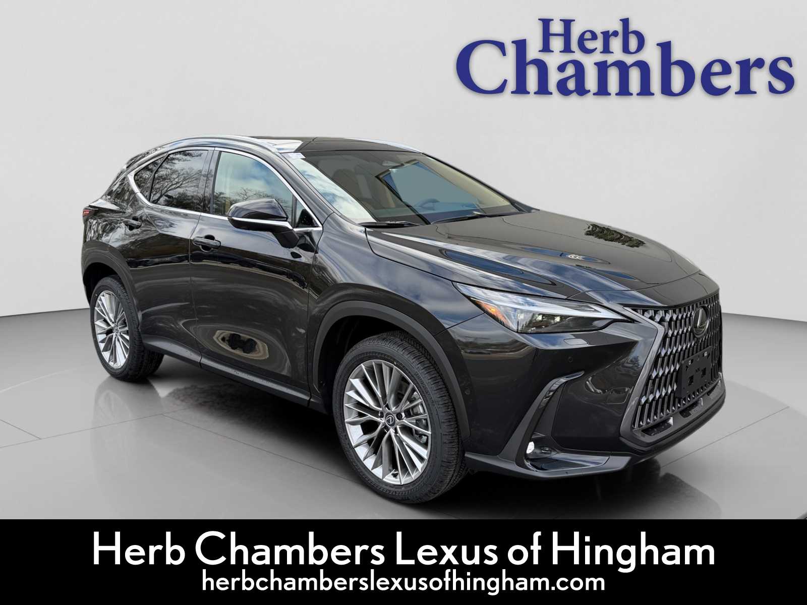 2026 Lexus NX 350's photo