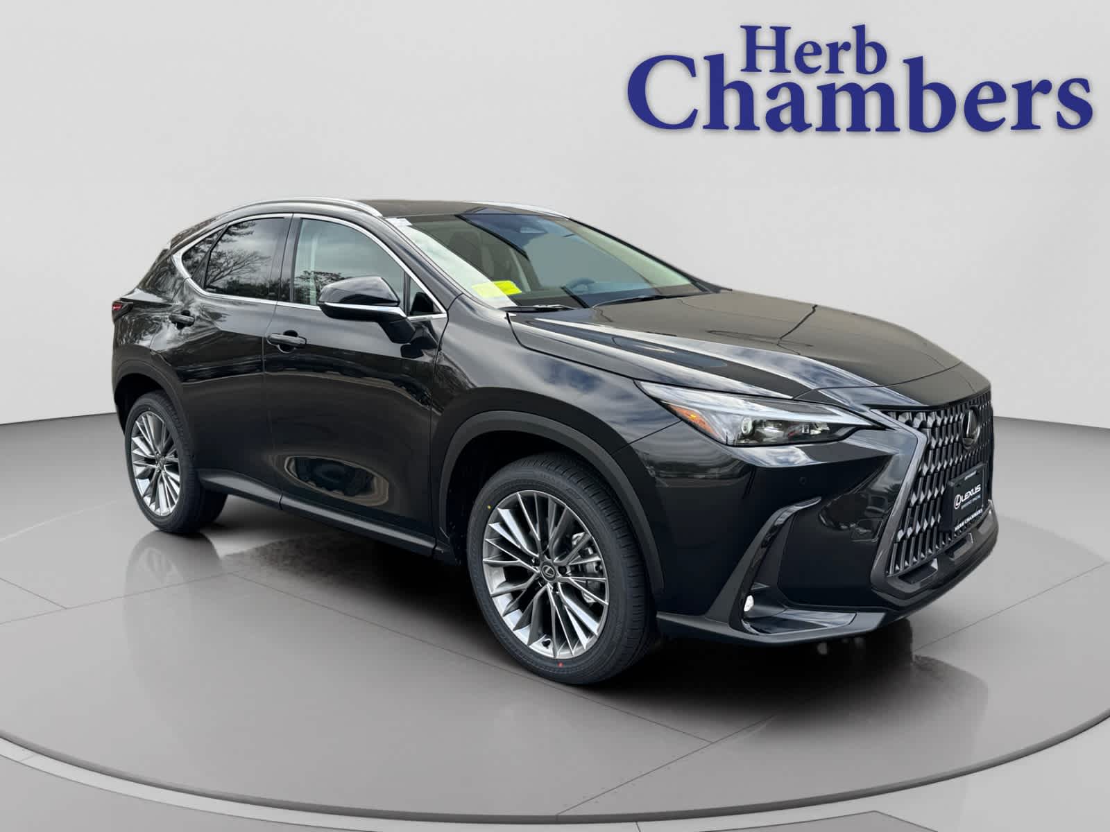 2026 Lexus NX 350's photo