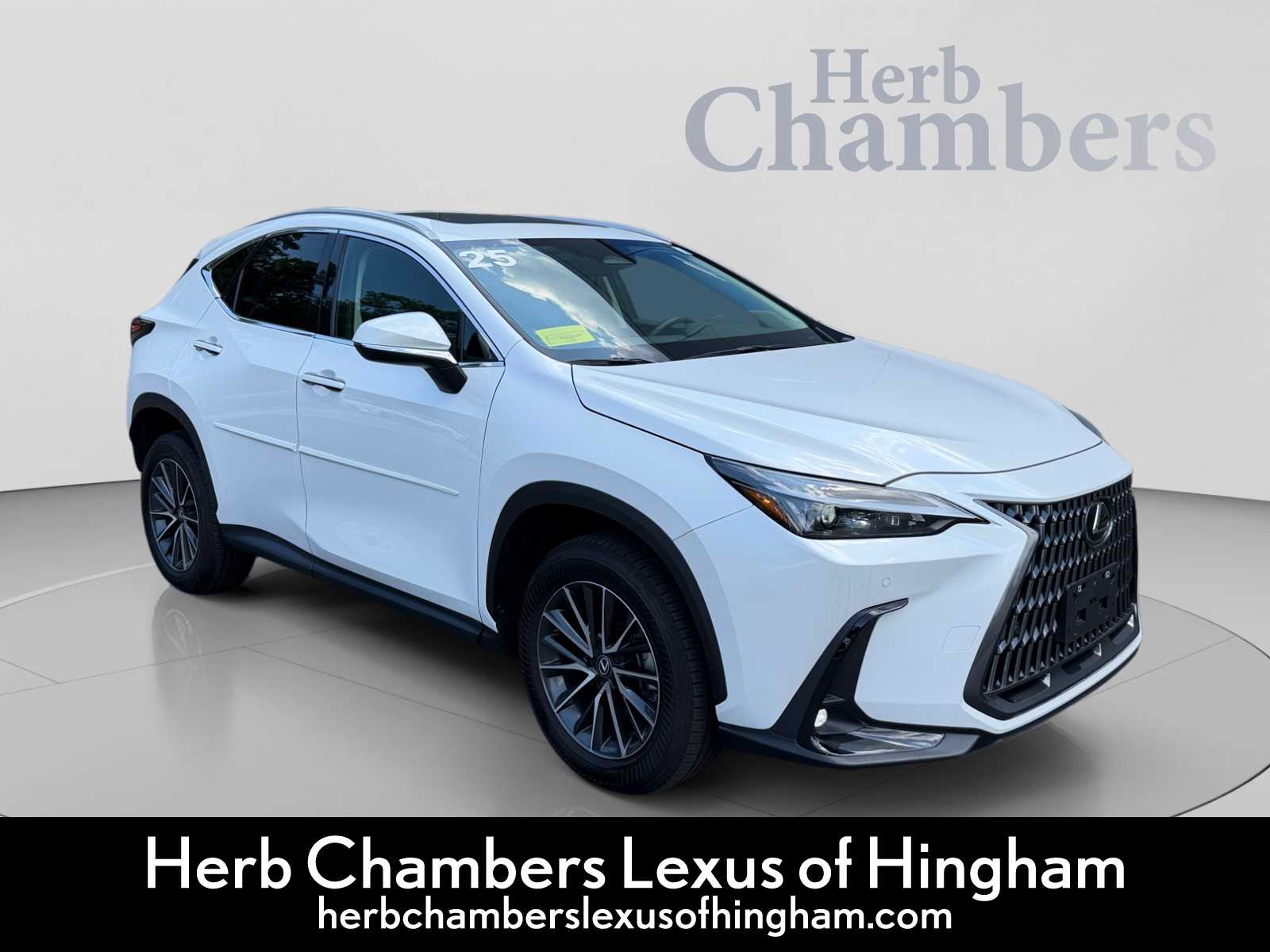 2025 Lexus NX