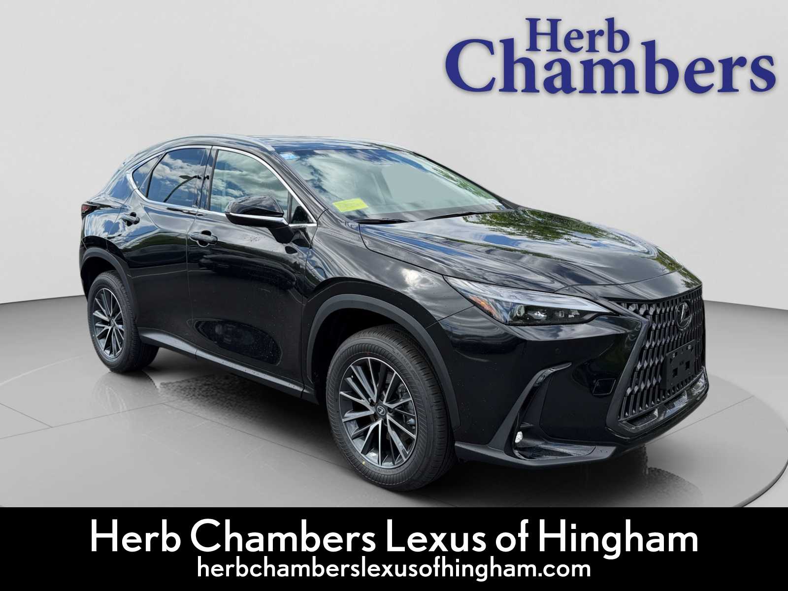 2026 Lexus NX 350h 350h Premium AWD's photo