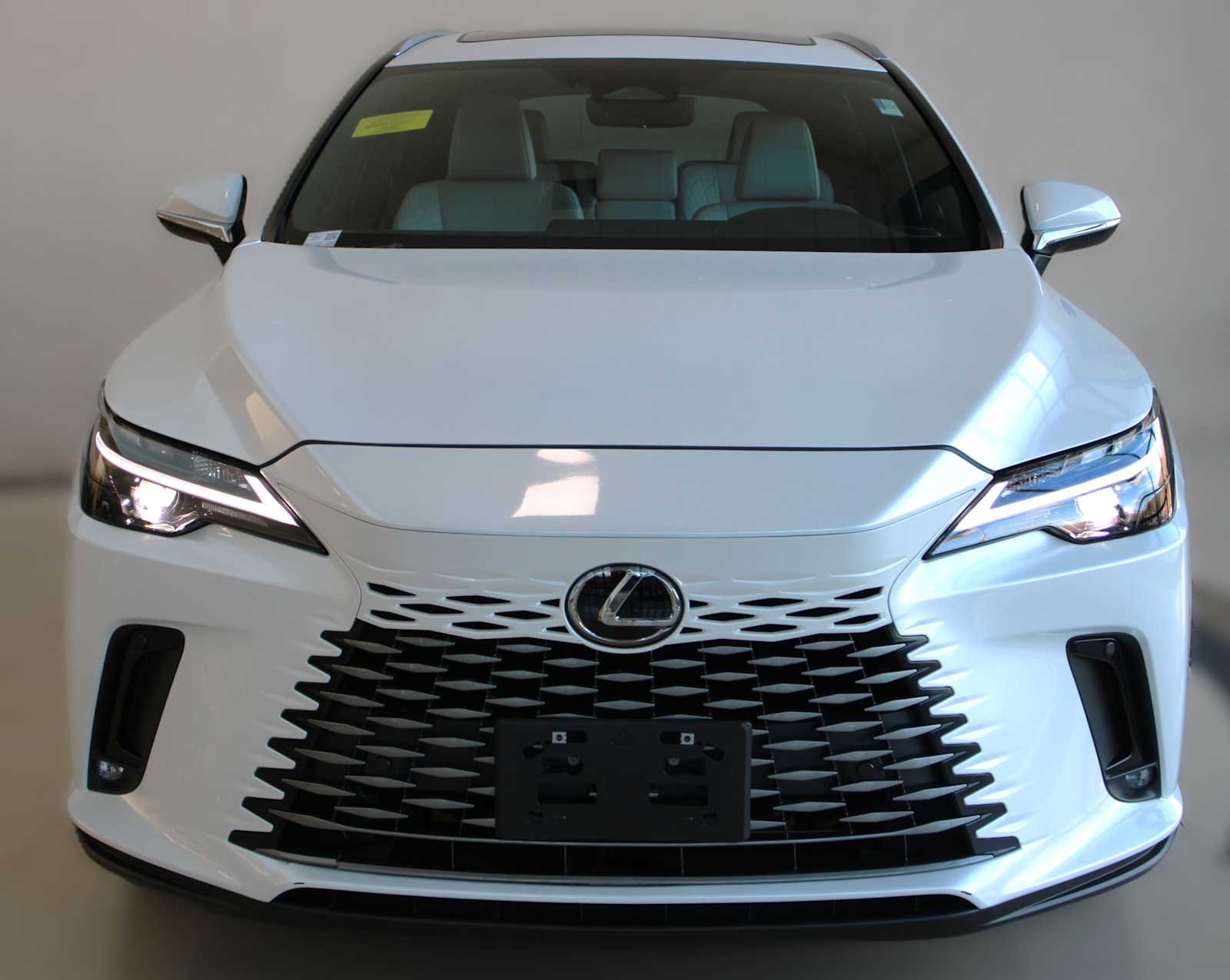 2023 Lexus RX 350 Premium photo 2