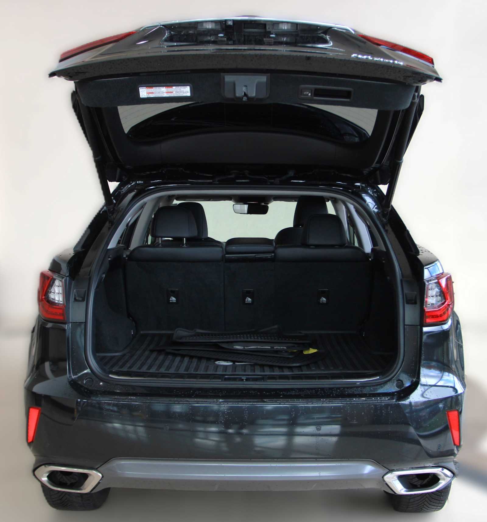 2019 Lexus RX 350 Luxury photo 4