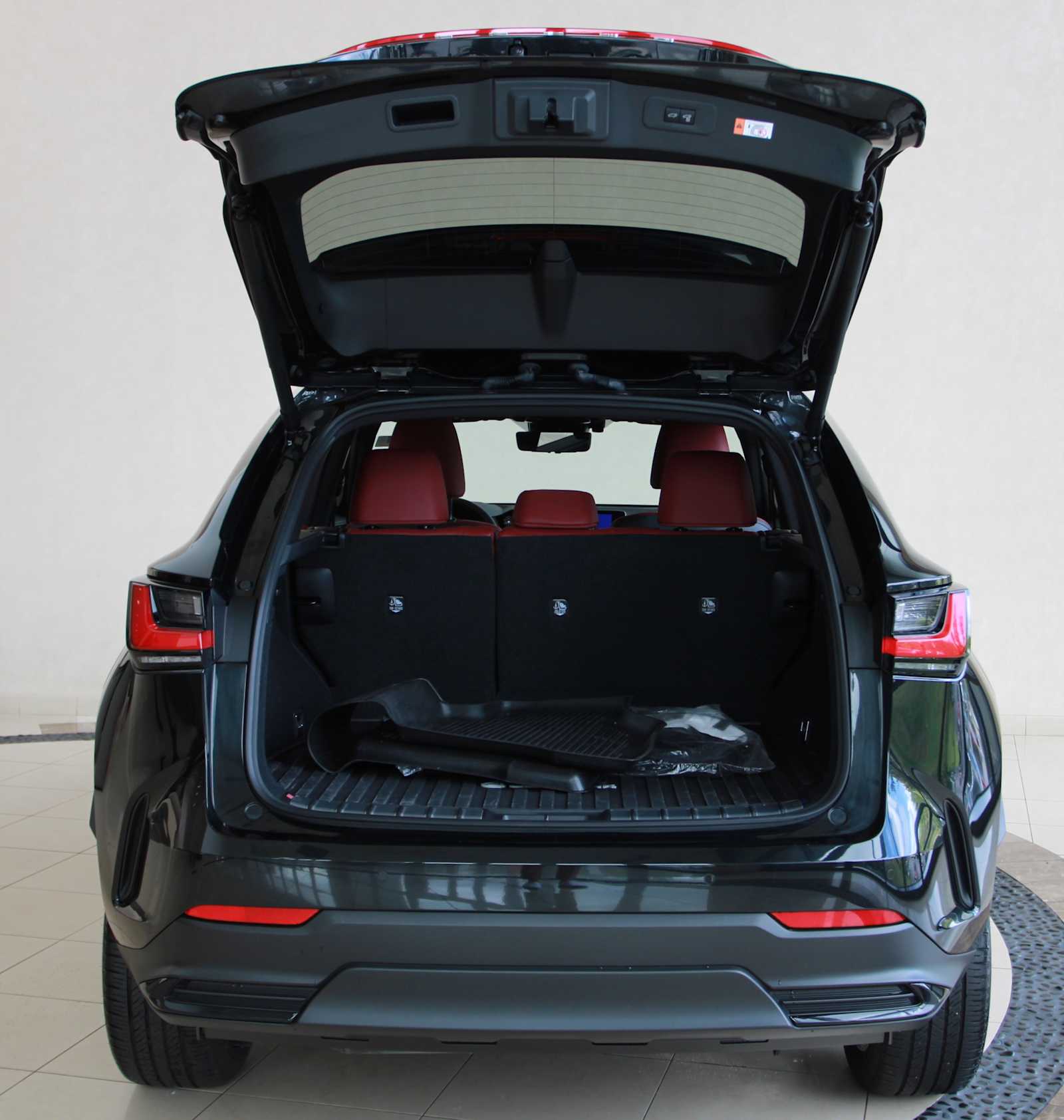 2025 Lexus NX 450h+ Luxury photo 4