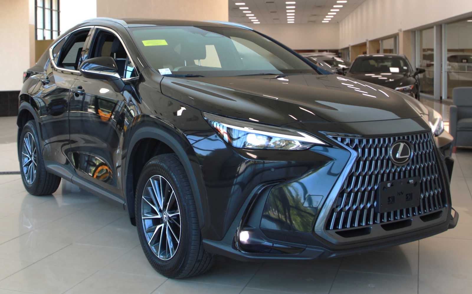 2024 Lexus NX 350h 350h Premium AWD's photo