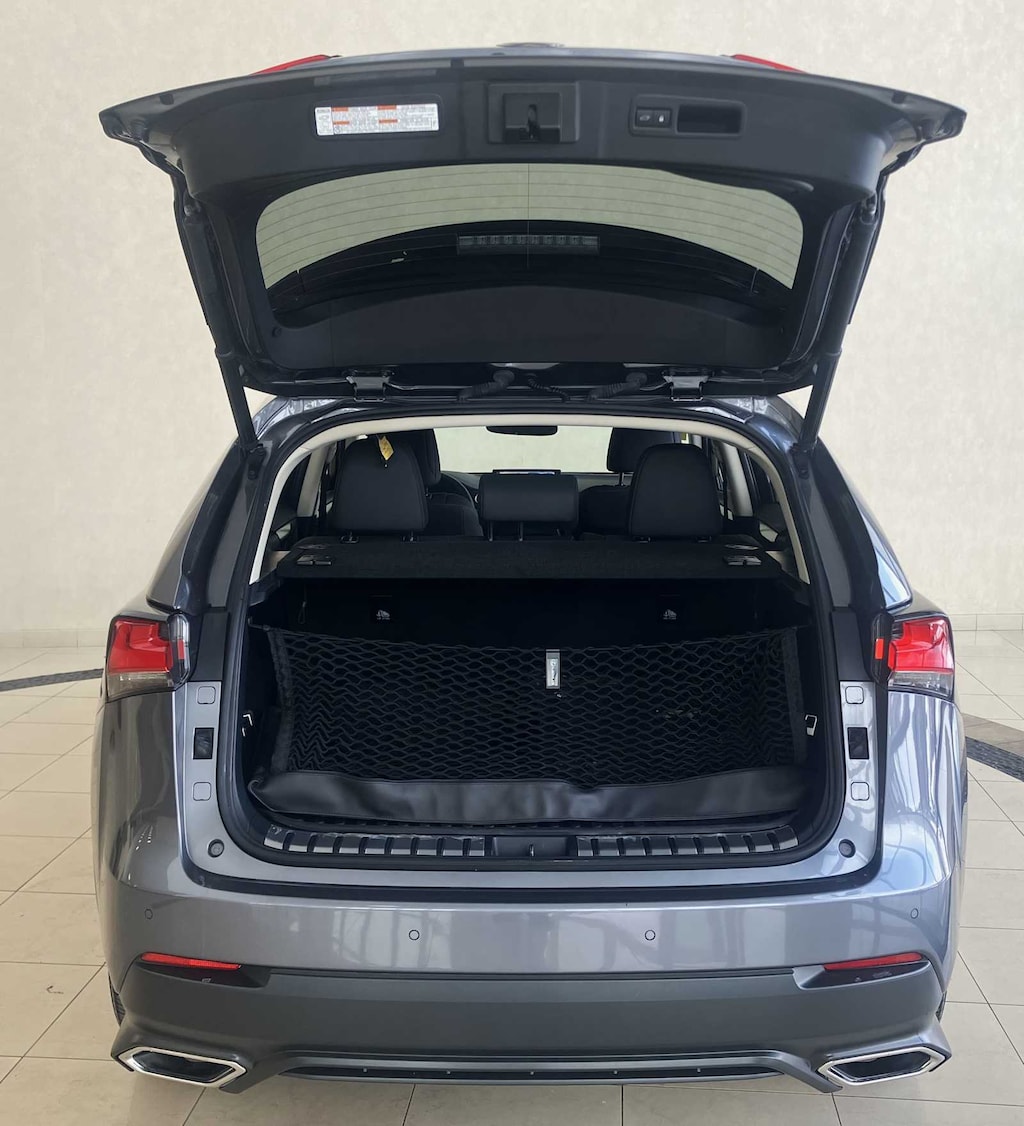 Used 2020 Lexus NX 300 AWD SUV