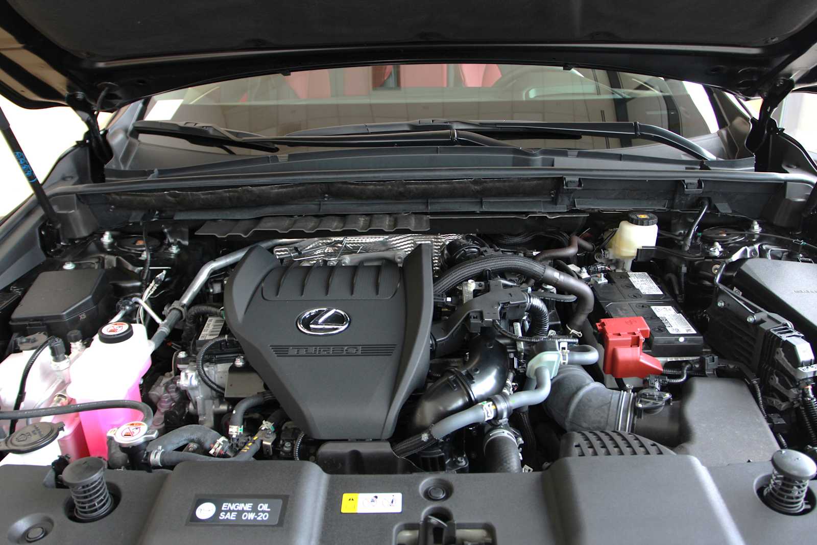 used 2025 Lexus NX 350 car, priced at $50,497