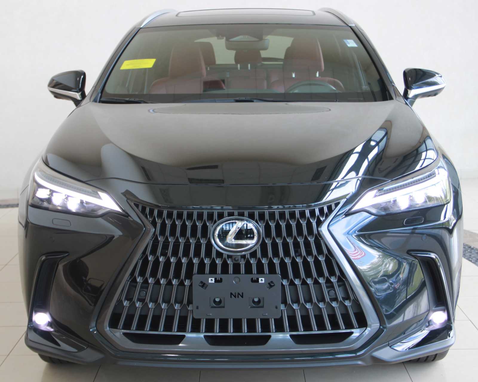 2025 Lexus NX 450h+ Luxury photo 2