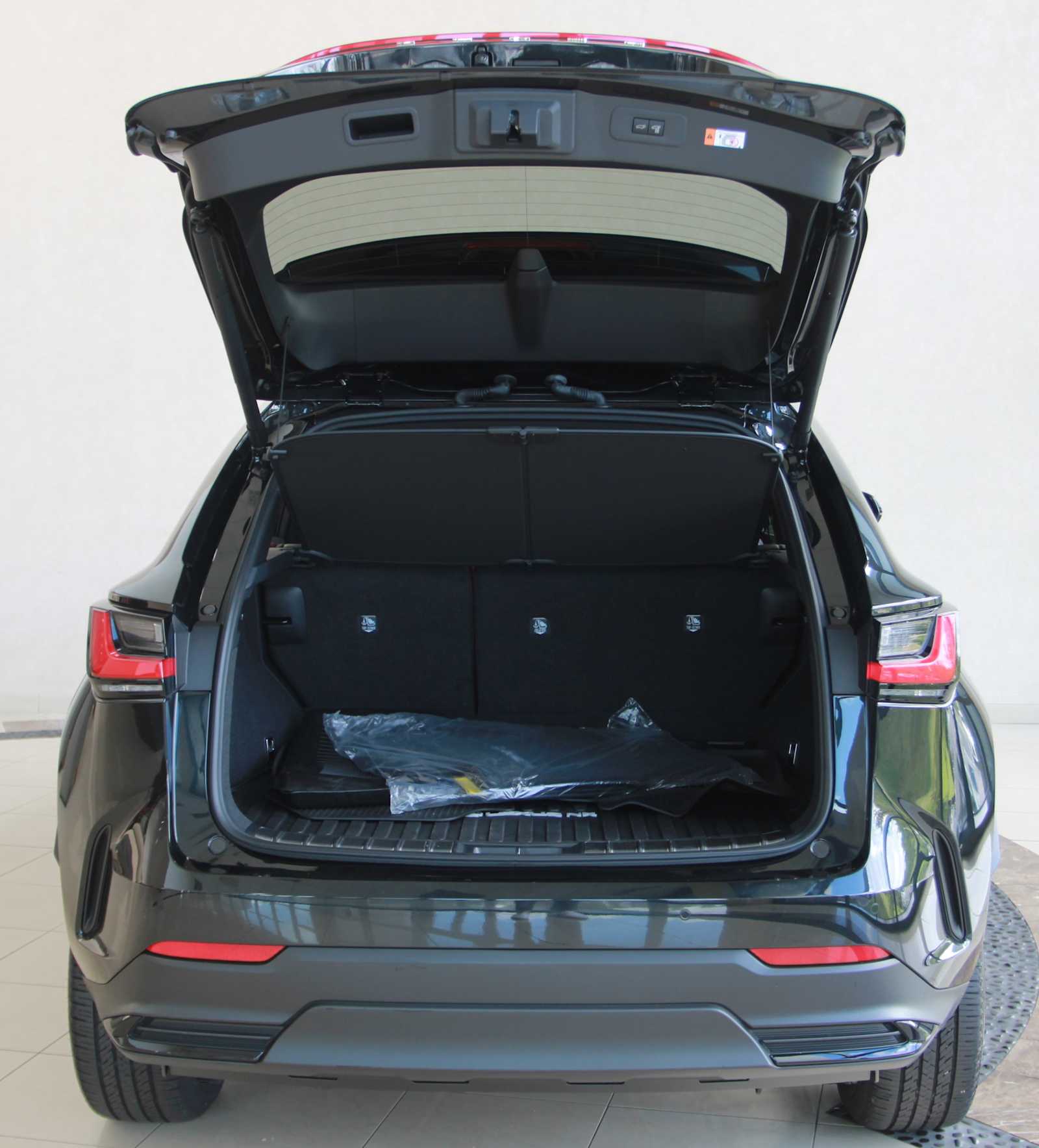 2025 Lexus NX 450h+ Luxury photo 4