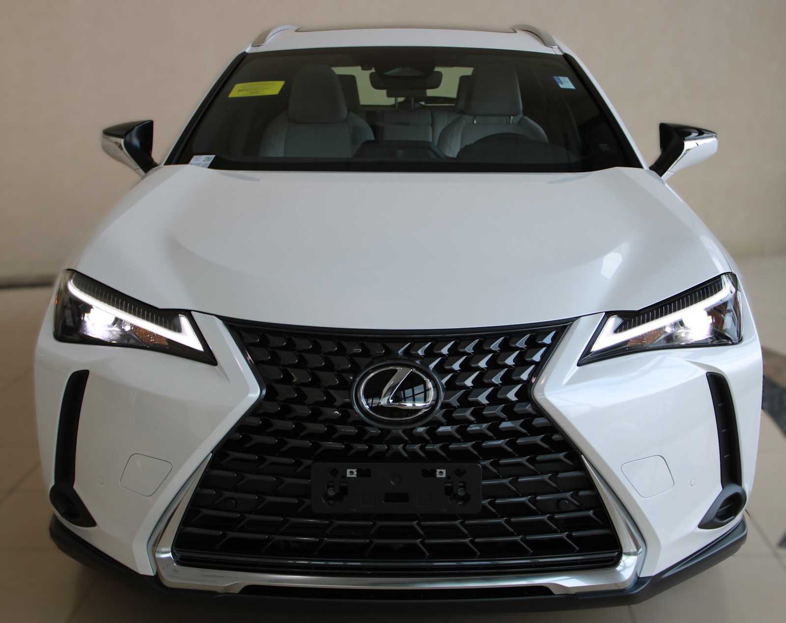 2025 Lexus UX Premium photo 2