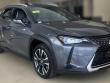 Used 2021 Lexus UX 250h AWD SUV