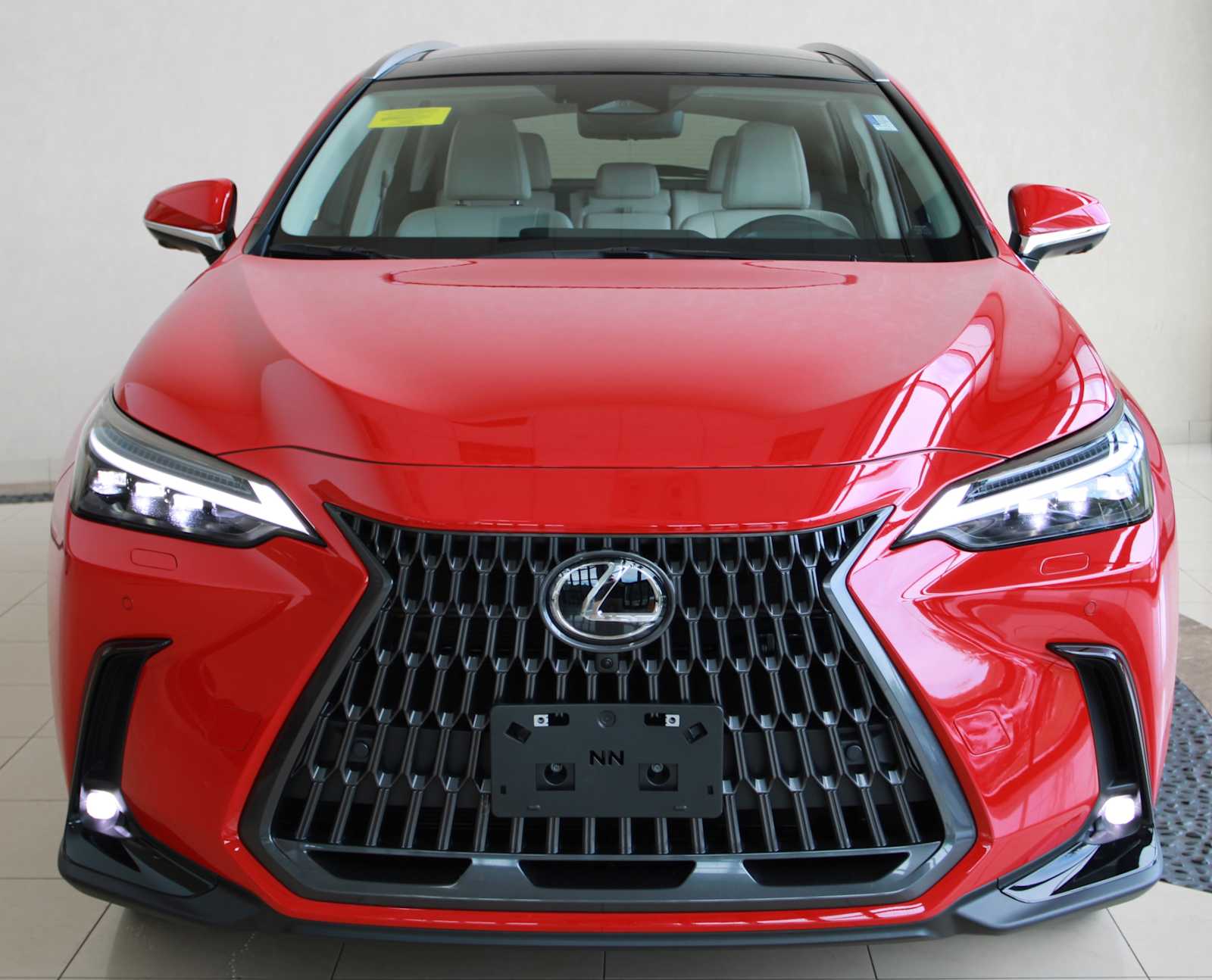 2025 Lexus NX 450h+ Luxury photo 2