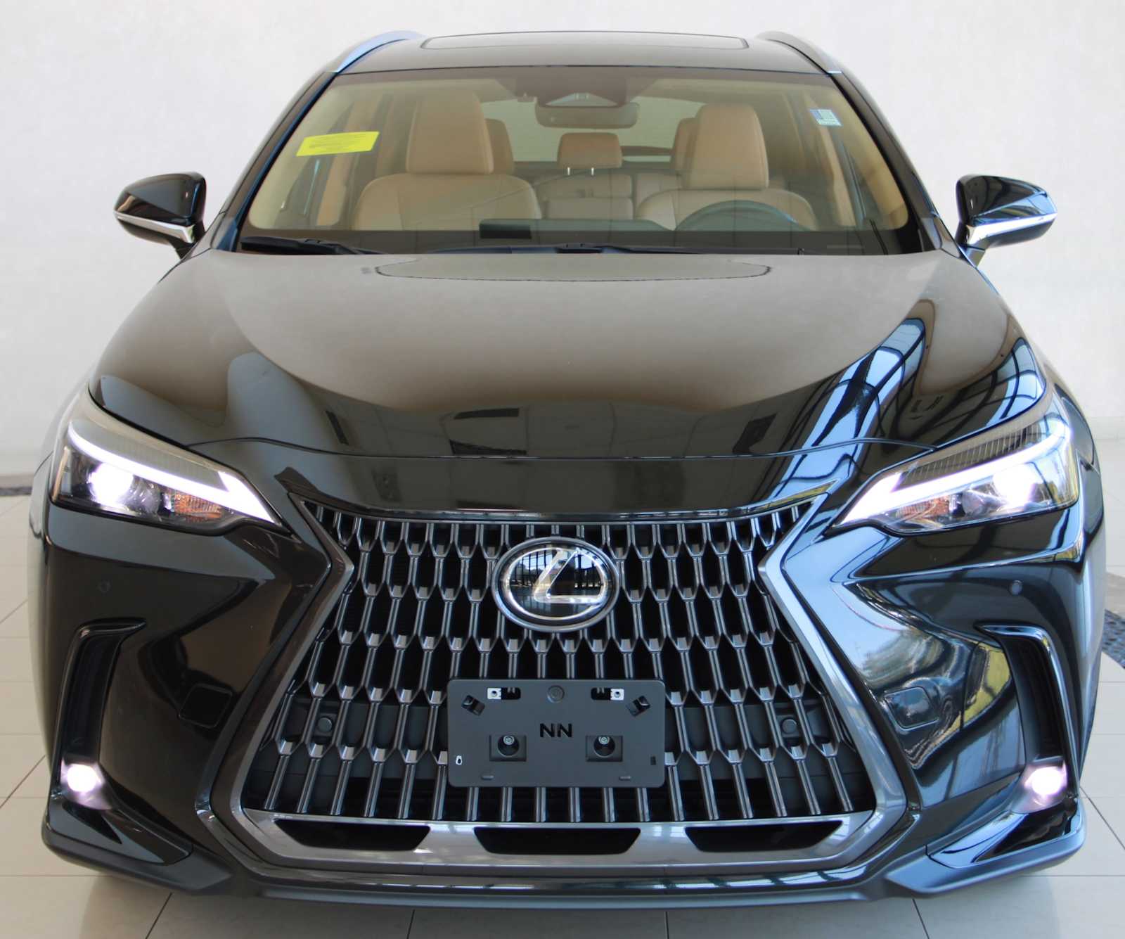 2025 Lexus NX 250 Premium photo 2