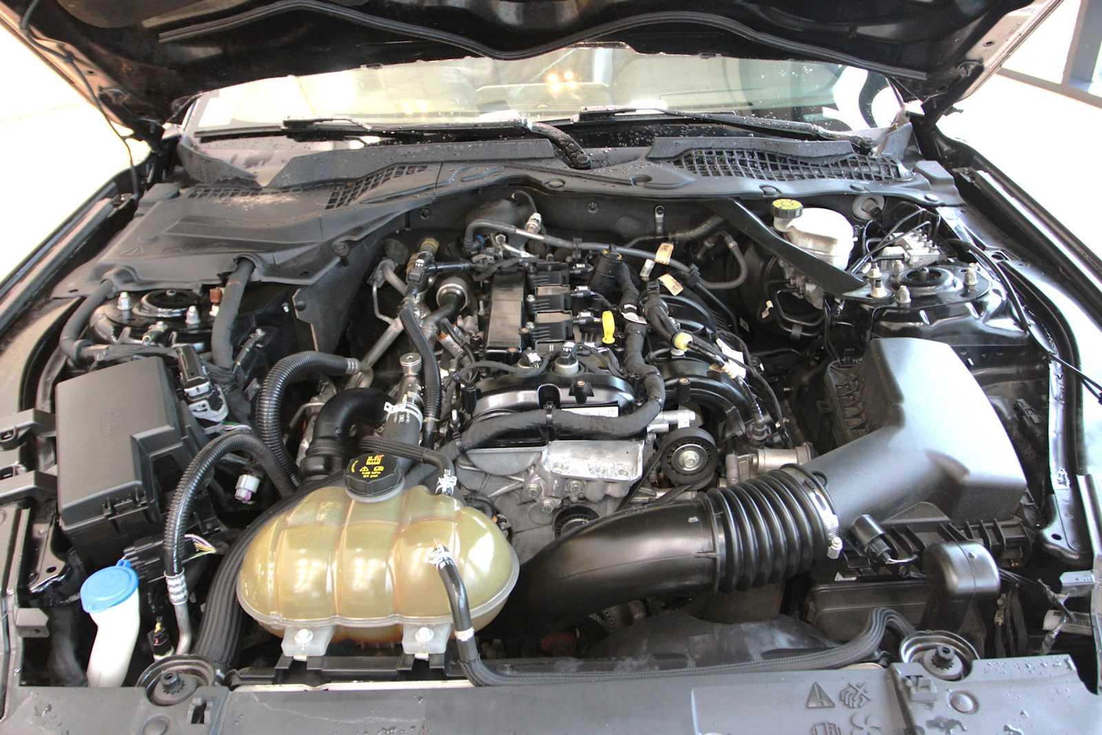 used 2022 Ford Mustang car, priced at $19,497