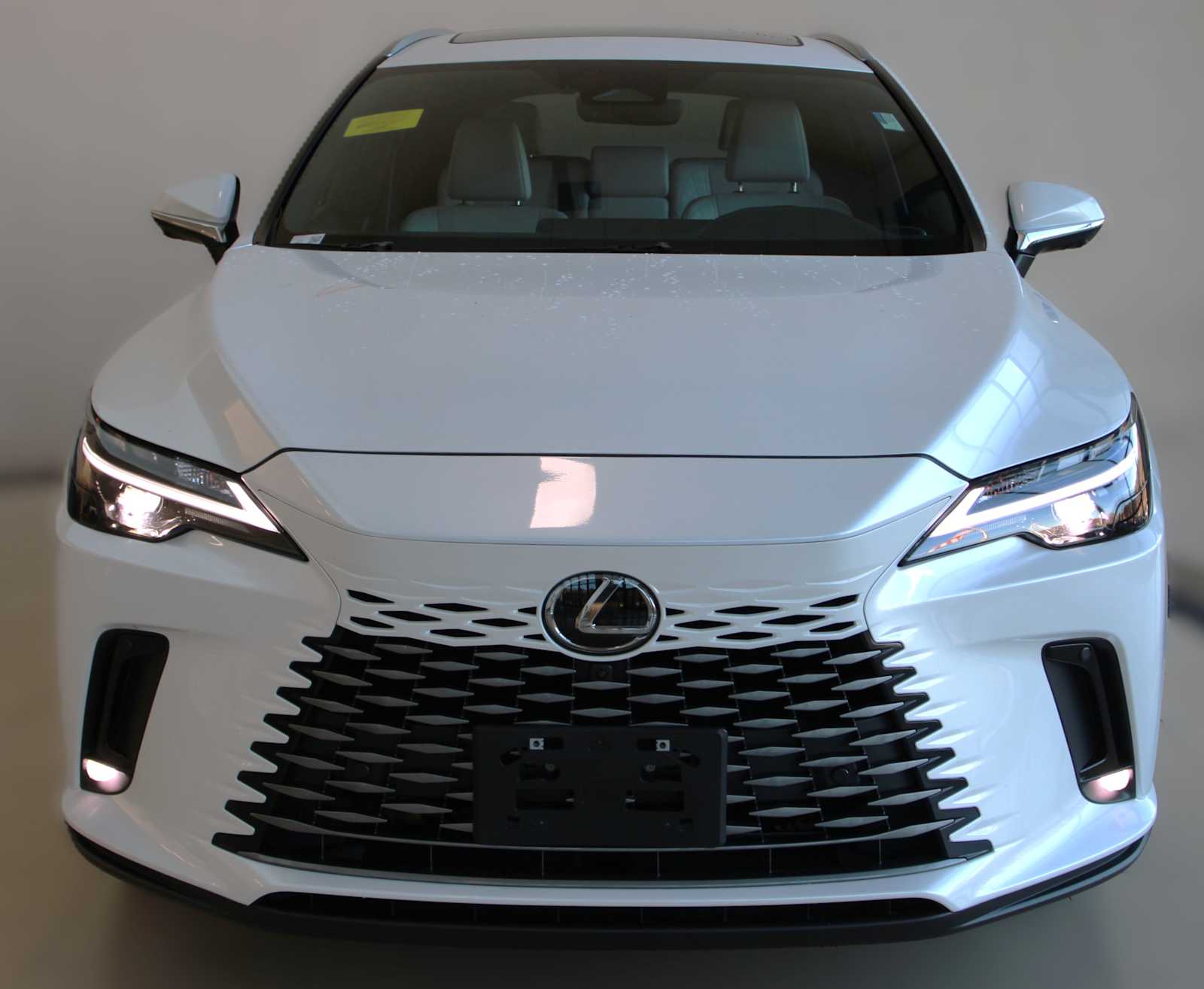 2025 Lexus RX 350 Premium photo 2